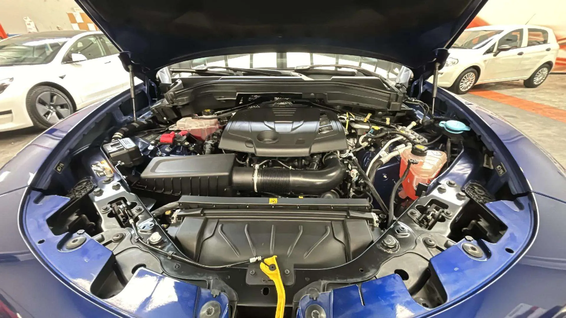 Alfa Romeo Stelvio 2.0 Gasolina Sprint Q4 - foto 18