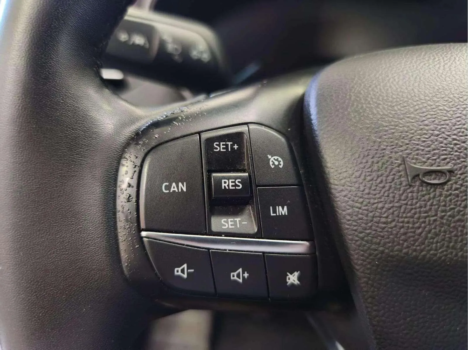 Ford Focus 1.0 EcoBoost MHEV Active - foto 12