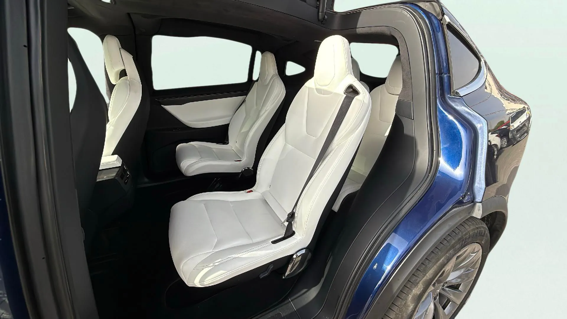 Tesla Model X 100d 4WD - foto 15