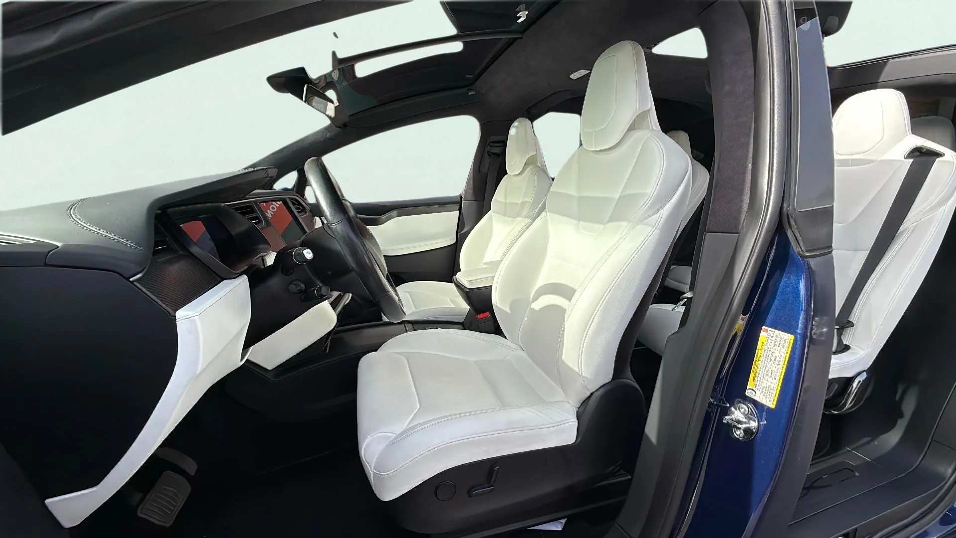 Tesla Model X 100d 4WD - foto 14