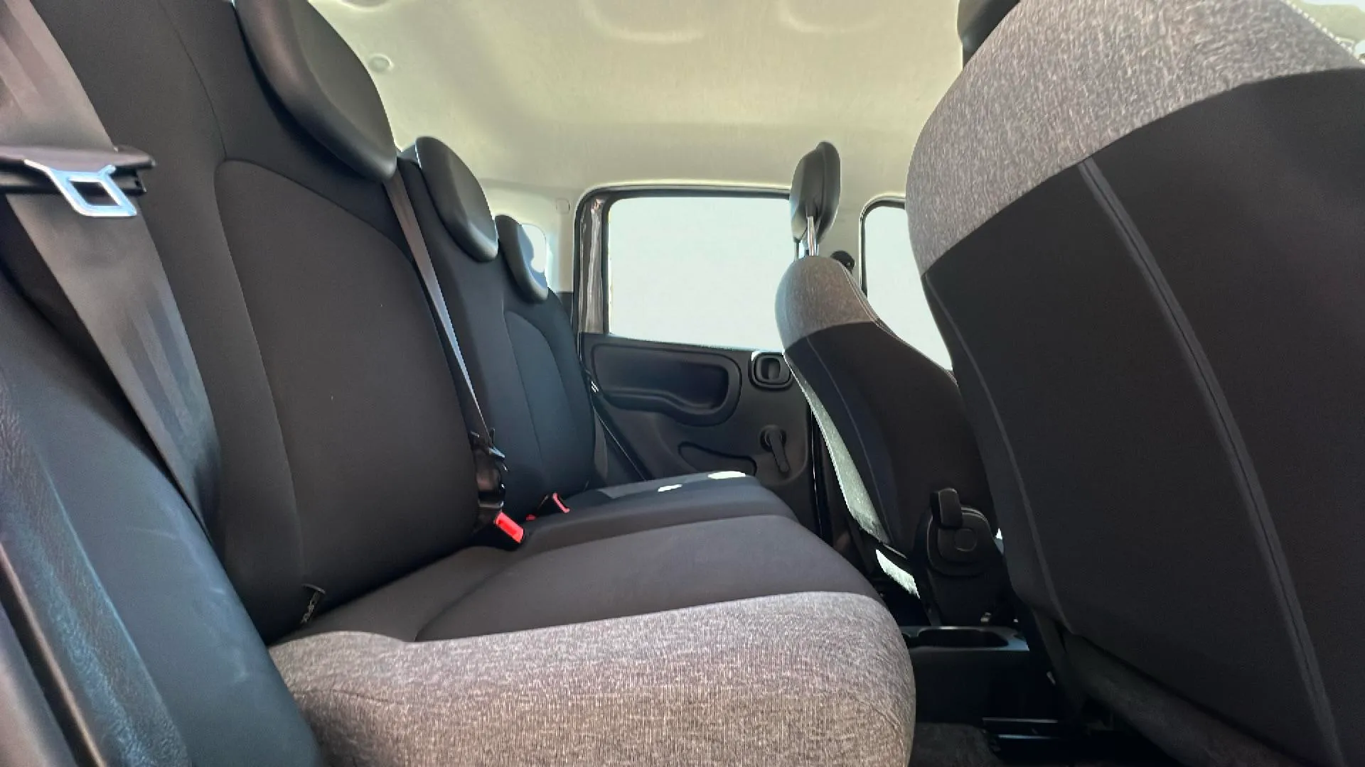 Fiat Panda Hybrid 1.0 Gse - foto 15