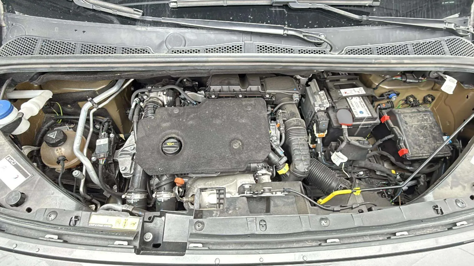 Citroën Berlingo Talla M BlueHDi 100 Shine - foto 15
