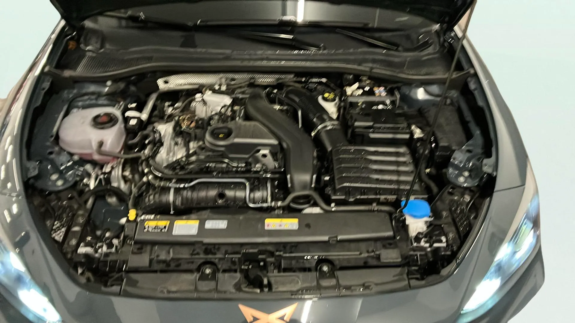 Cupra León SP 1.5 eTSI DSG - foto 24