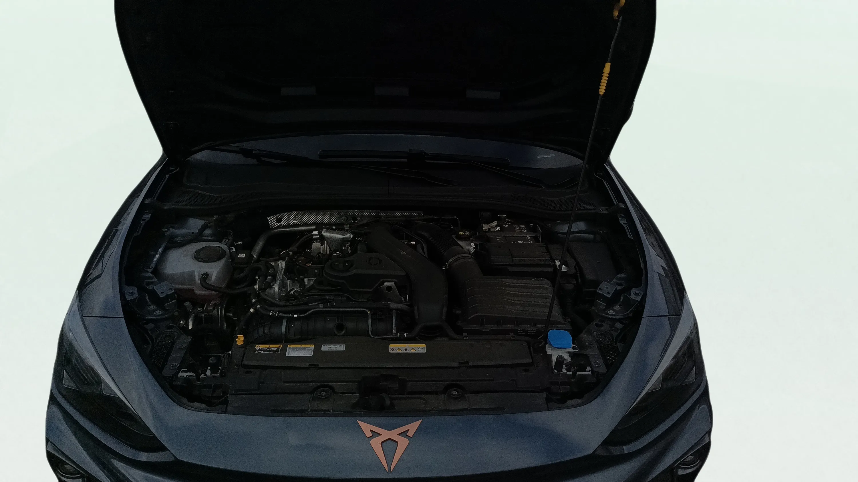 Cupra León SP 1.5 eTSI DSG - foto 26