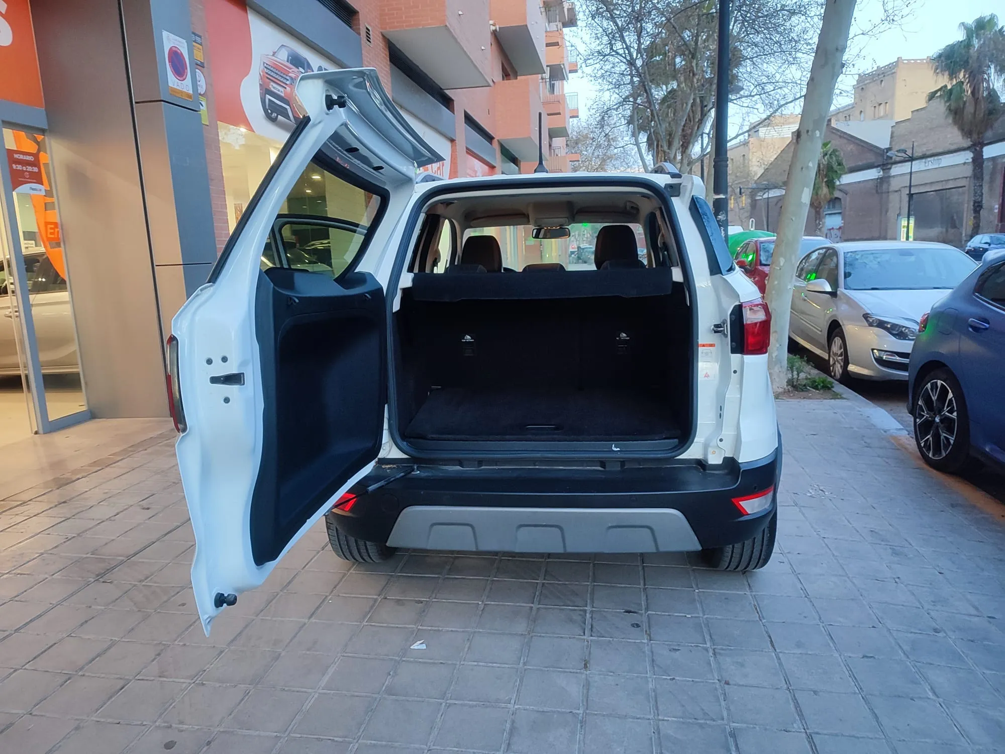 Ford EcoSport 1.0L EcoBoost Titanium Aut - foto 26