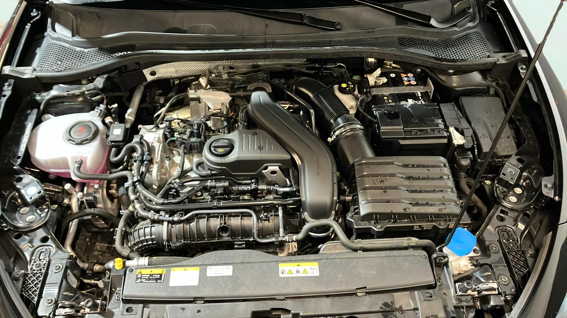 Cupra León SP 1.5 eTSI DSG - foto 25