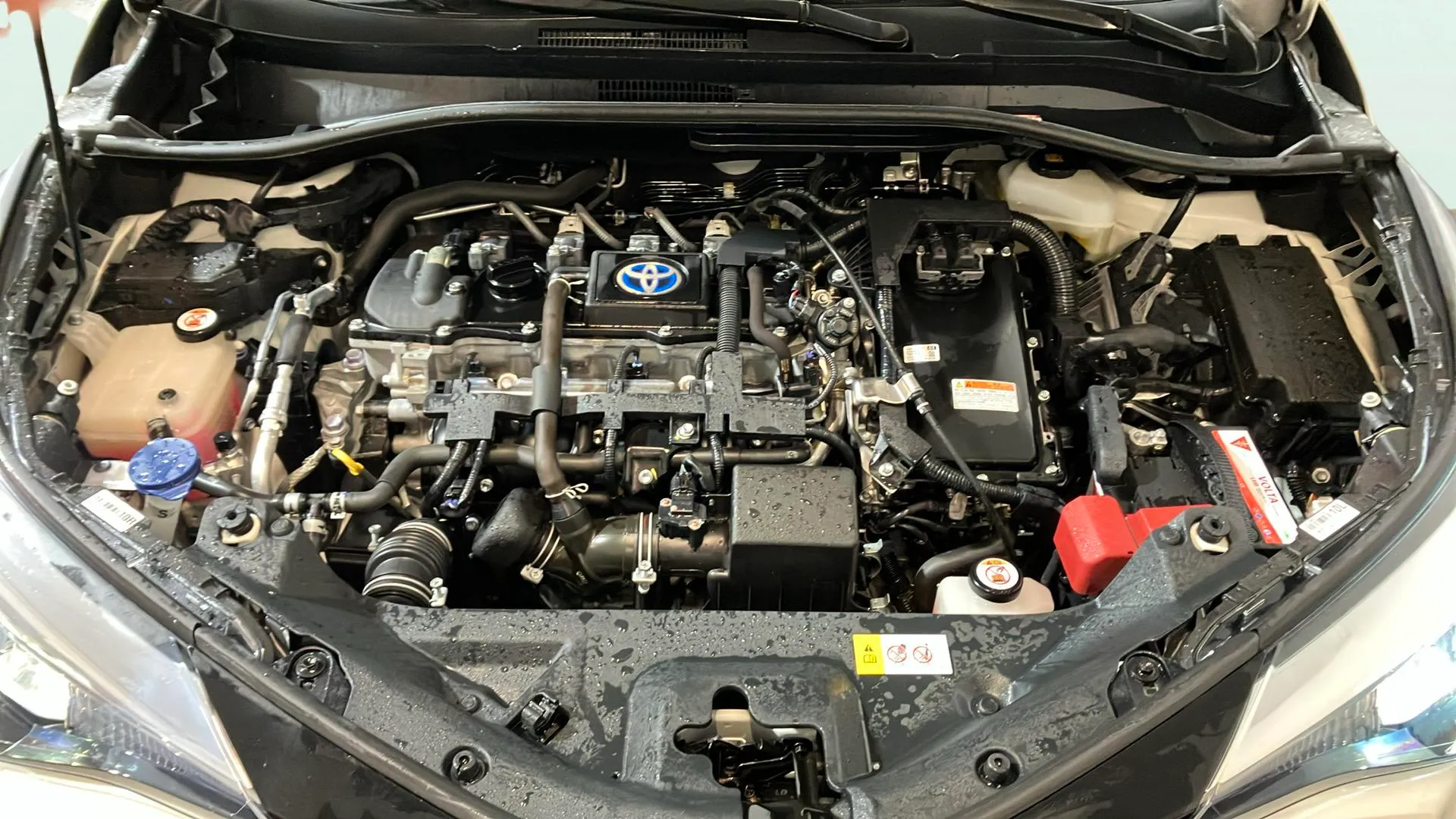 Toyota C-HR 1.8 125H Advance - foto 23
