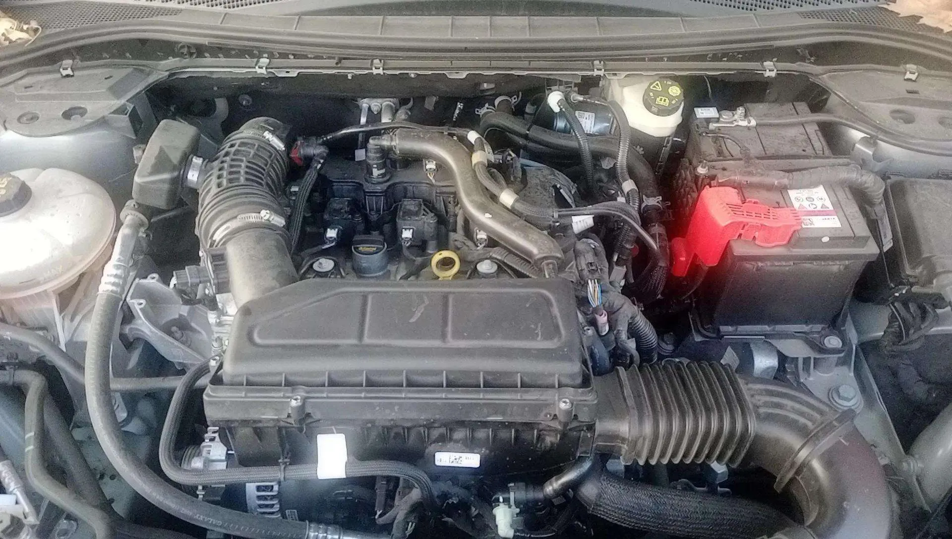 Ford Kuga ST-Line 1.5T EcoBoost - foto 21