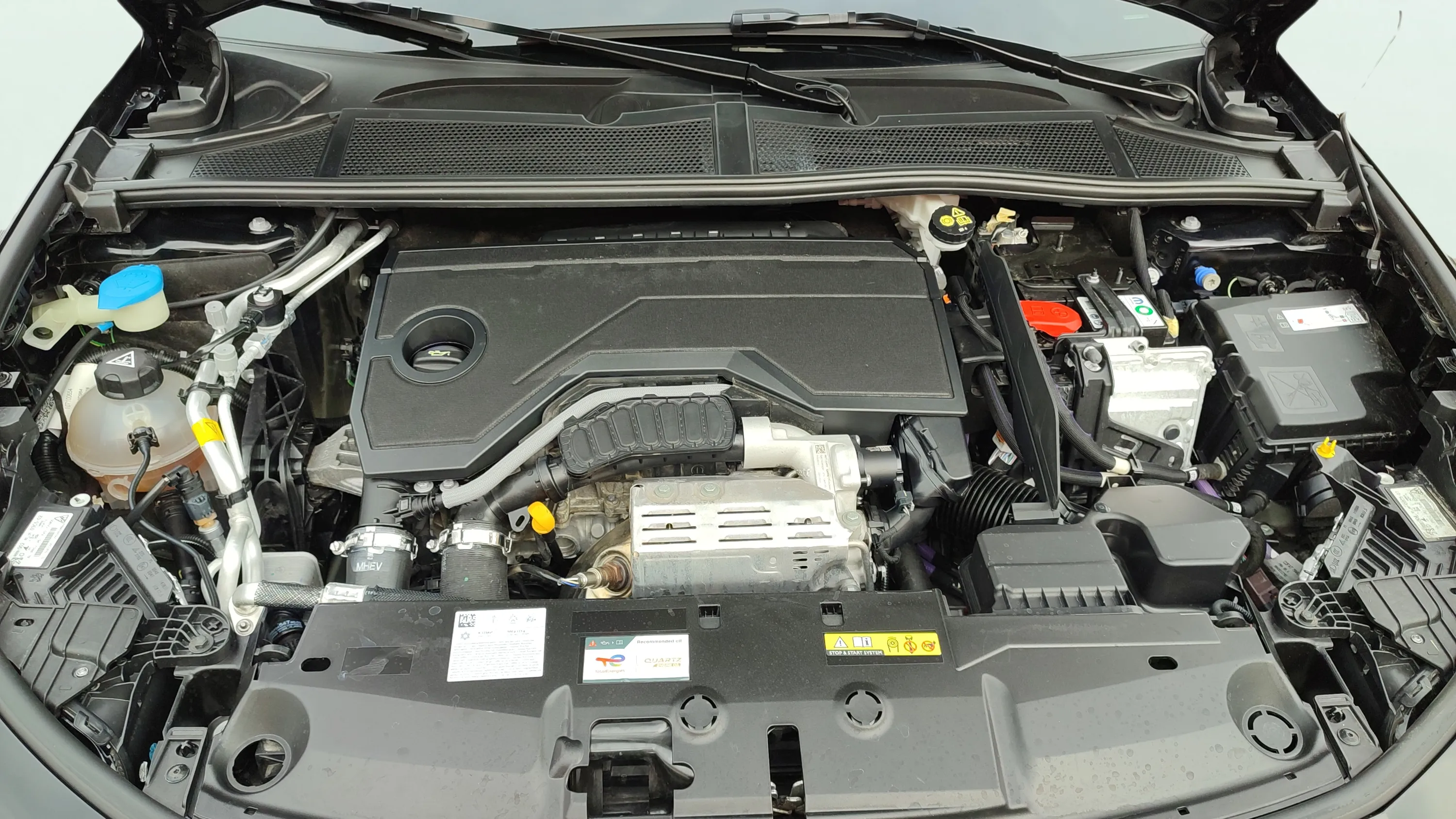 Peugeot 308 Allure Hybrid MHEV 136 e-DCS6 - foto 30
