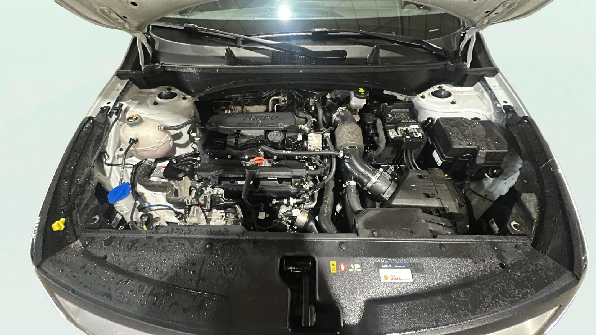 Kia Sportage 1.6 T-GDi MHEV Tech 4x2 DCT - foto 18