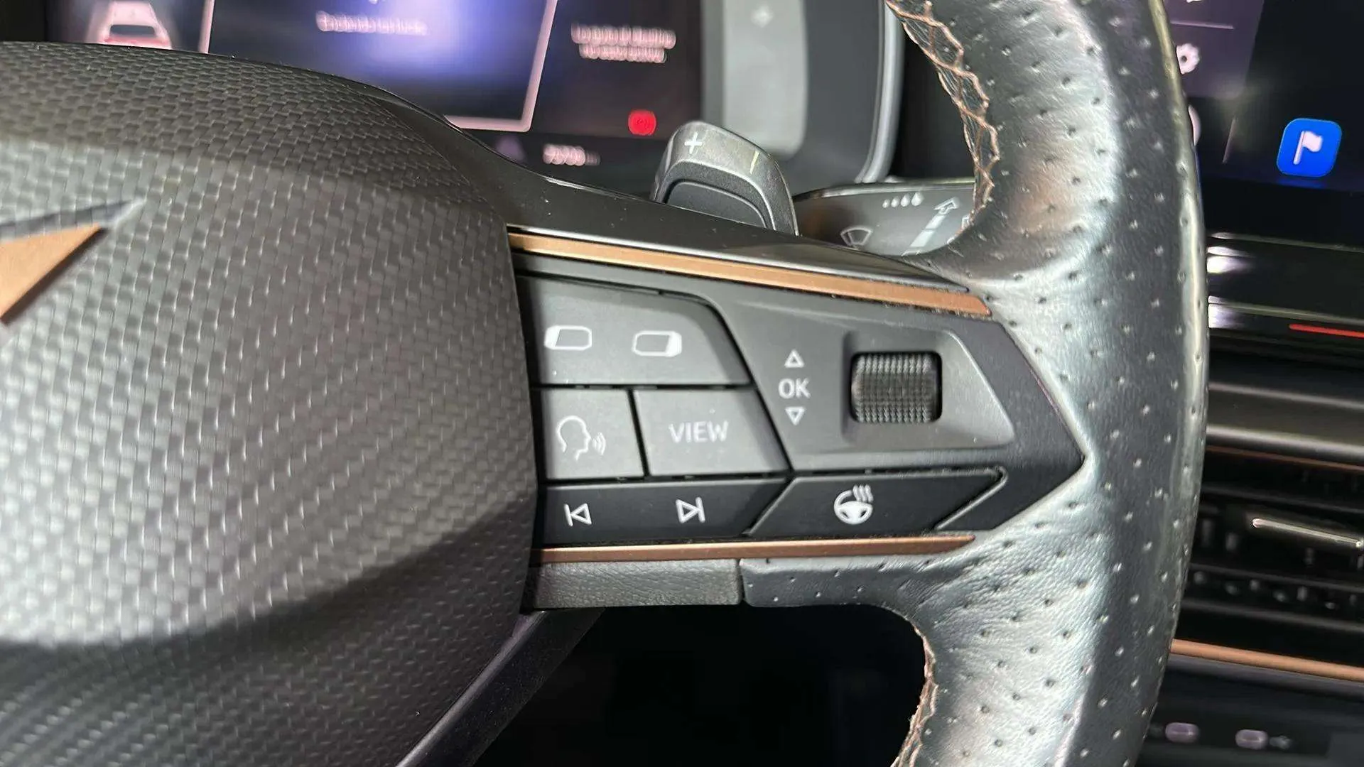 Cupra Formentor 1.5 TSI DSG - foto 14