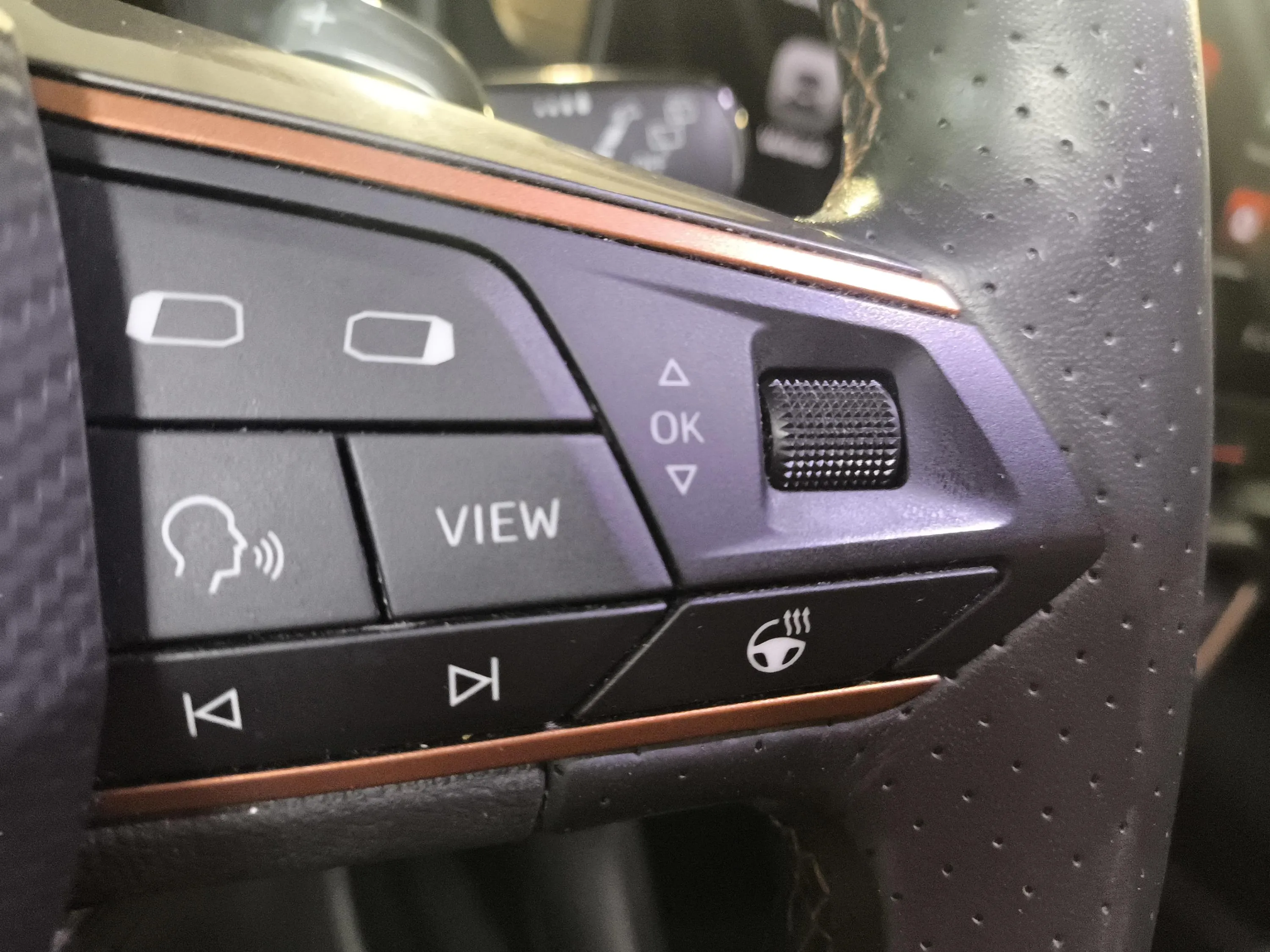Cupra Formentor 1.5 TSI DSG - foto 26
