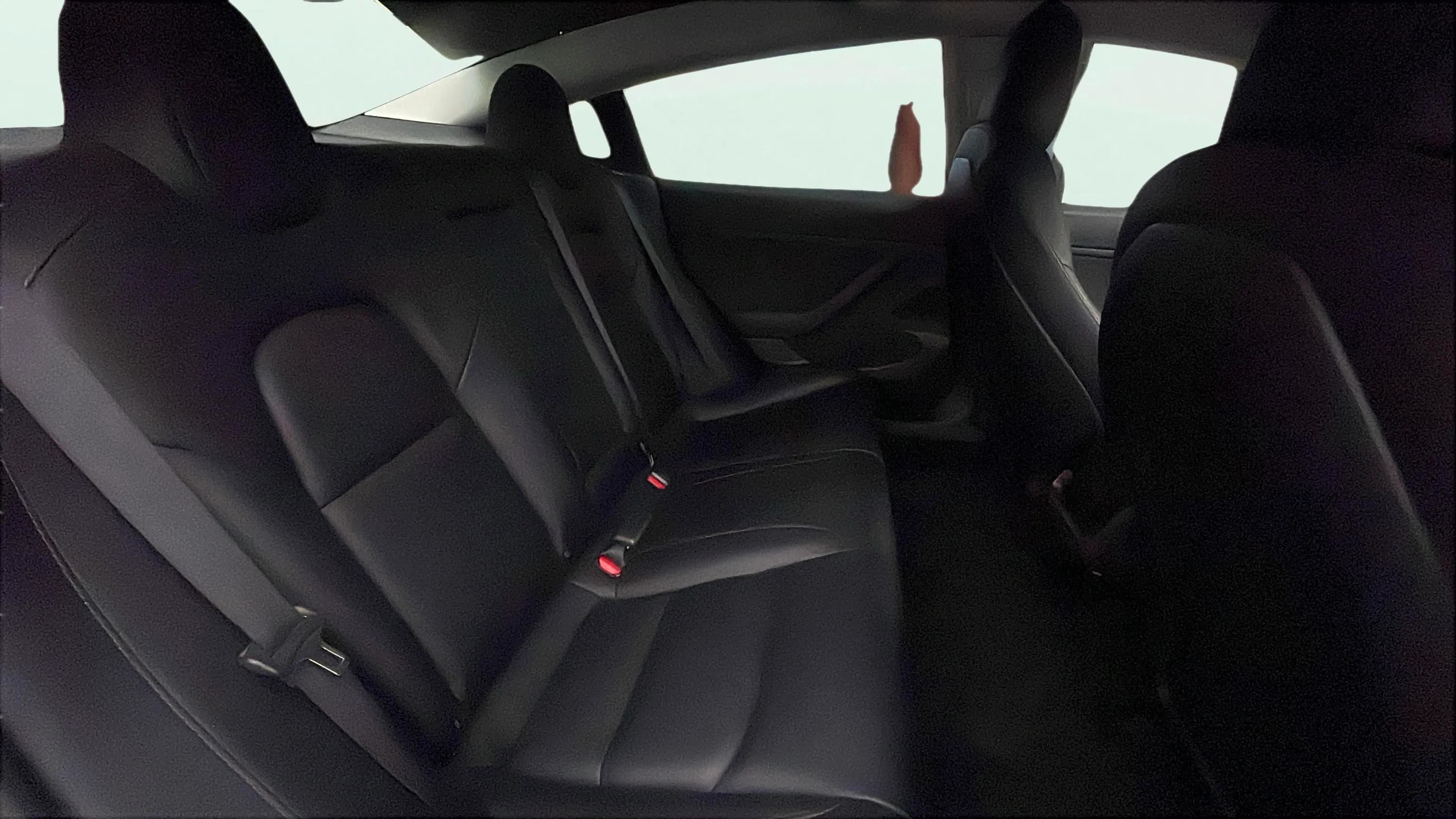 Tesla Model 3 Estándar Plus RWD - foto 16