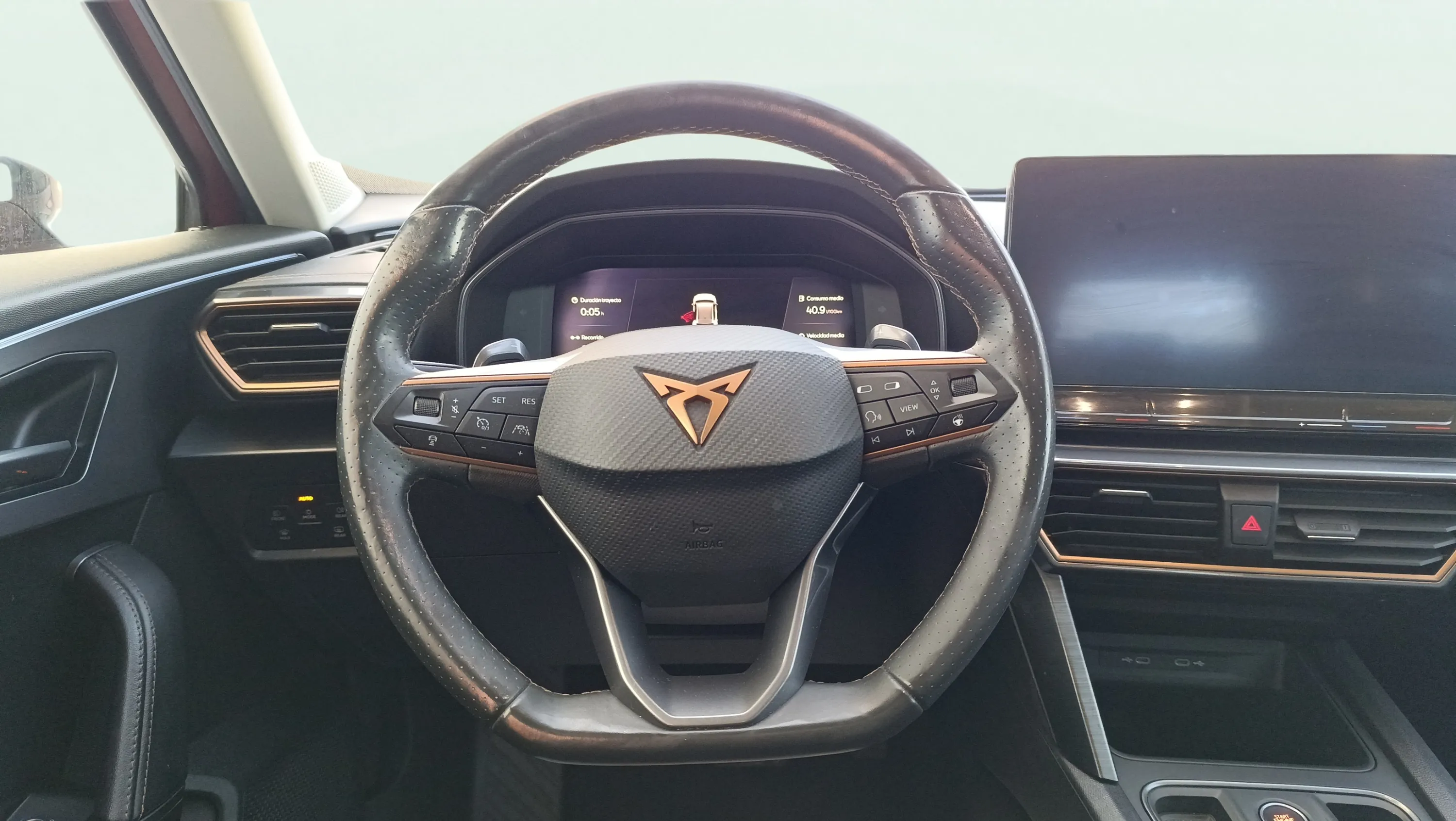 Cupra Formentor 1.5 TSI DSG - foto 10