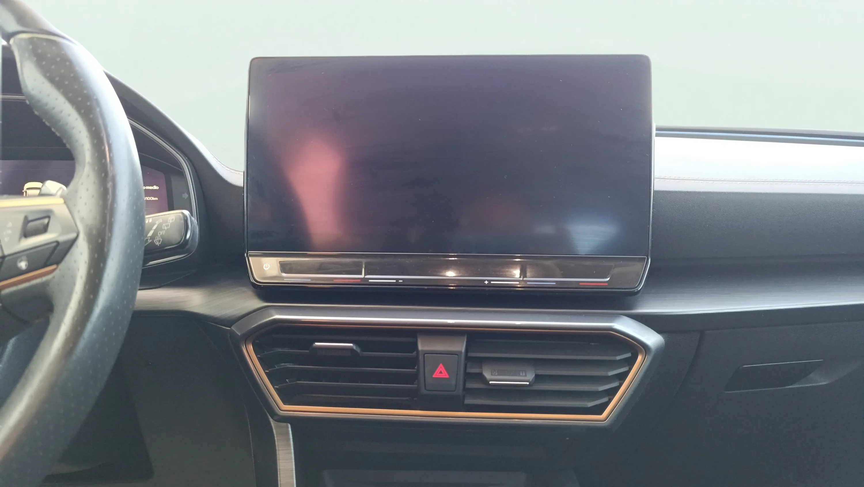 Cupra Formentor 1.5 TSI DSG - foto 18
