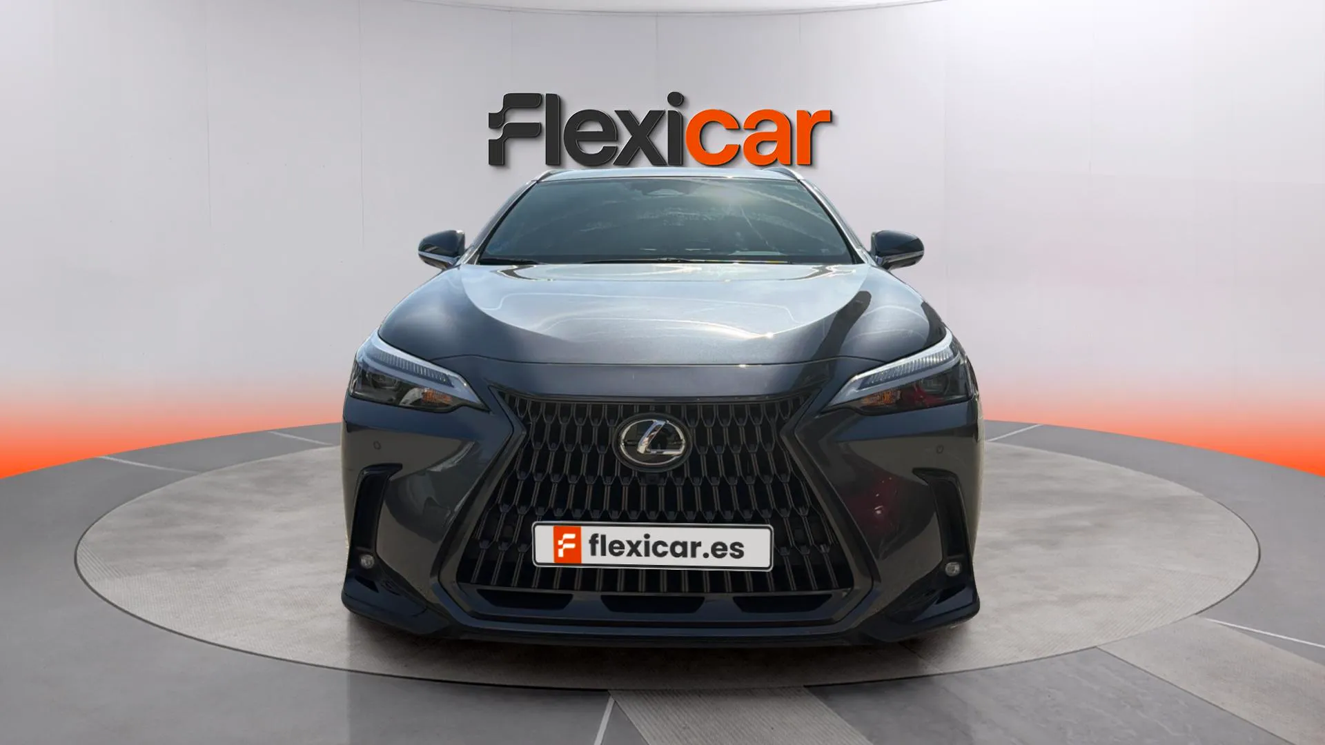 Lexus NX 450h+ Executive 4WD - foto 2