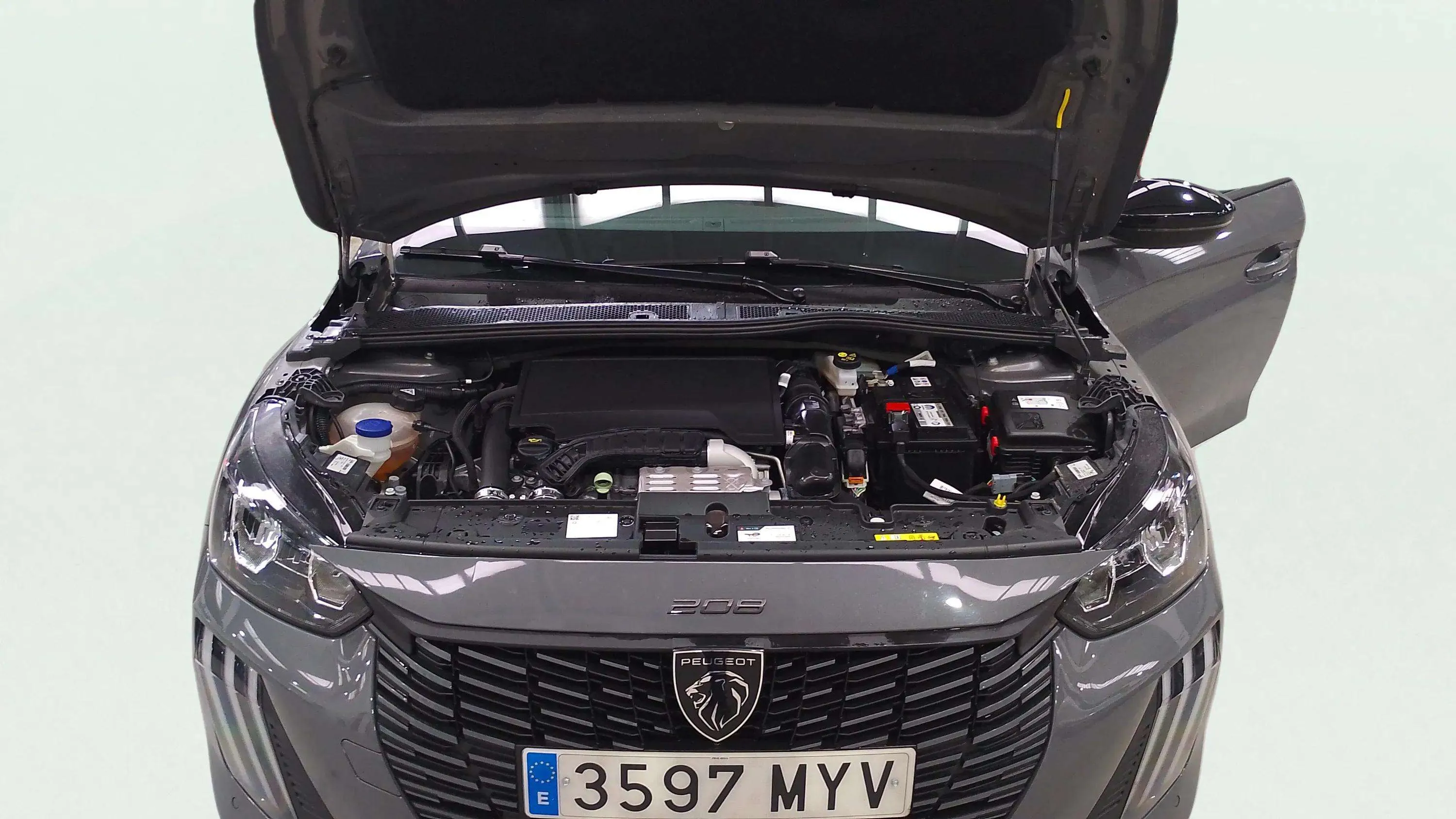Peugeot 208 Allure Gasolina 100 - foto 25