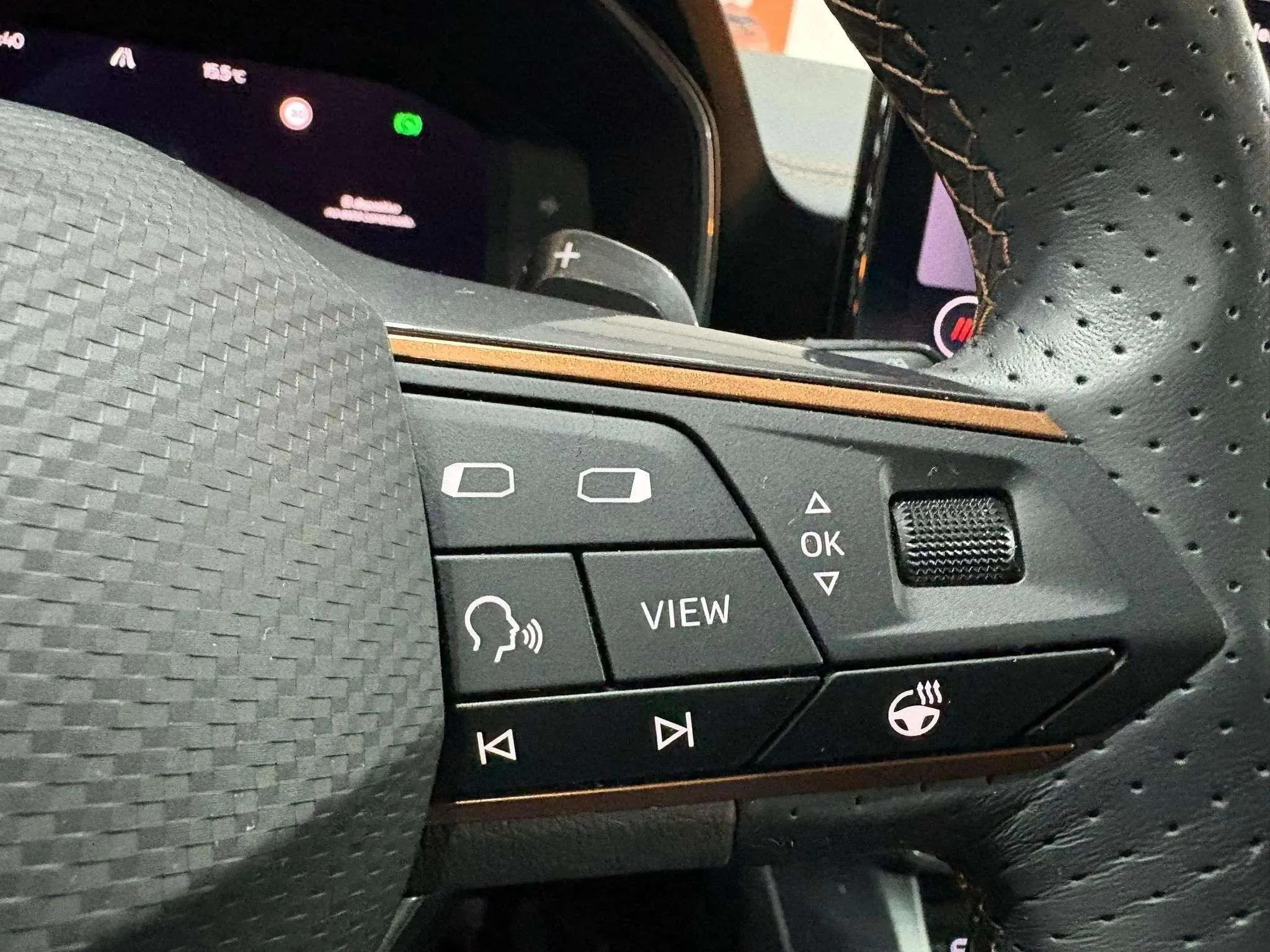 Cupra Formentor 1.5 TSI DSG - foto 13