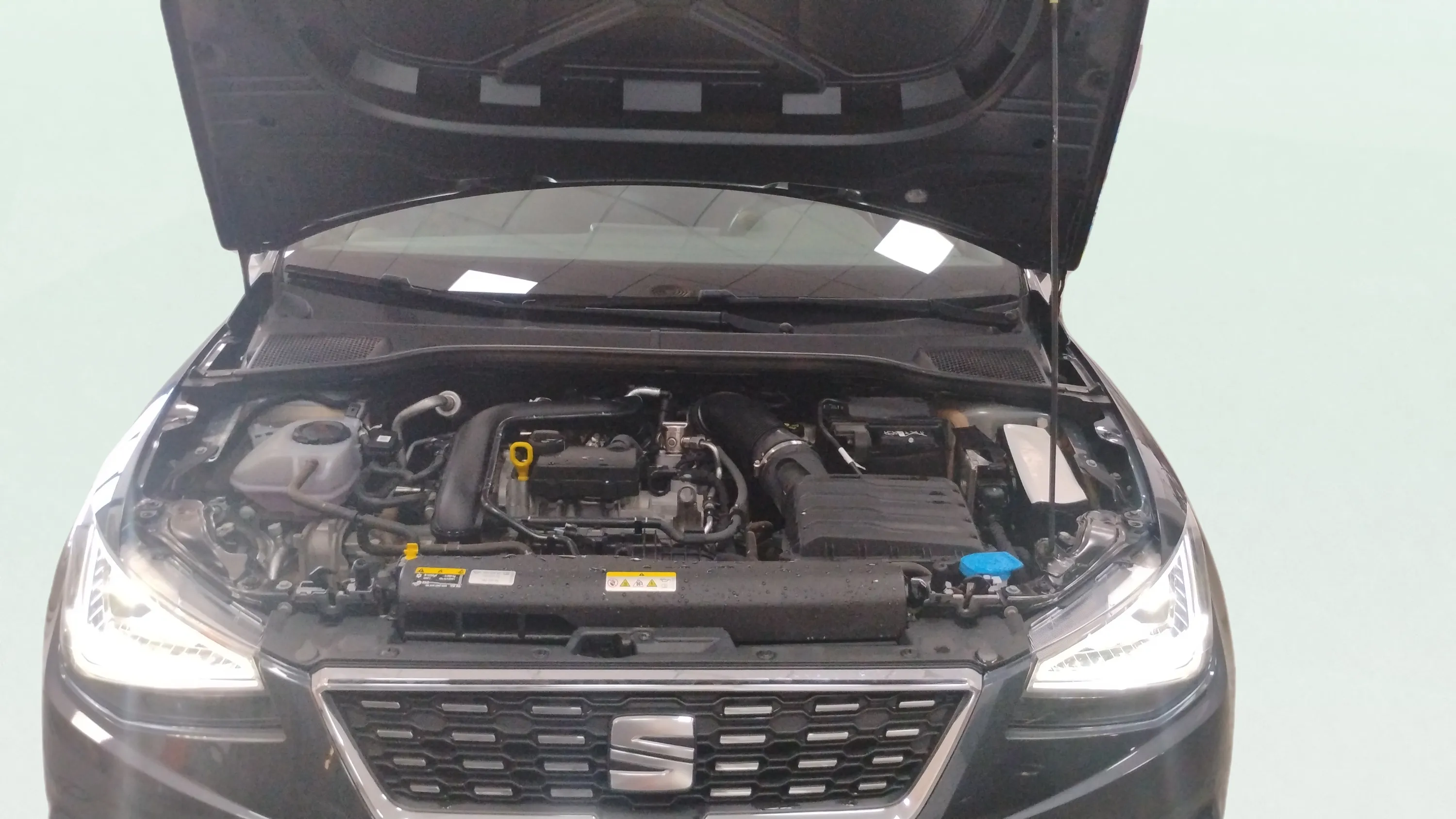 SEAT Ibiza 1.0 TSI Special Edition Xcellence - foto 11