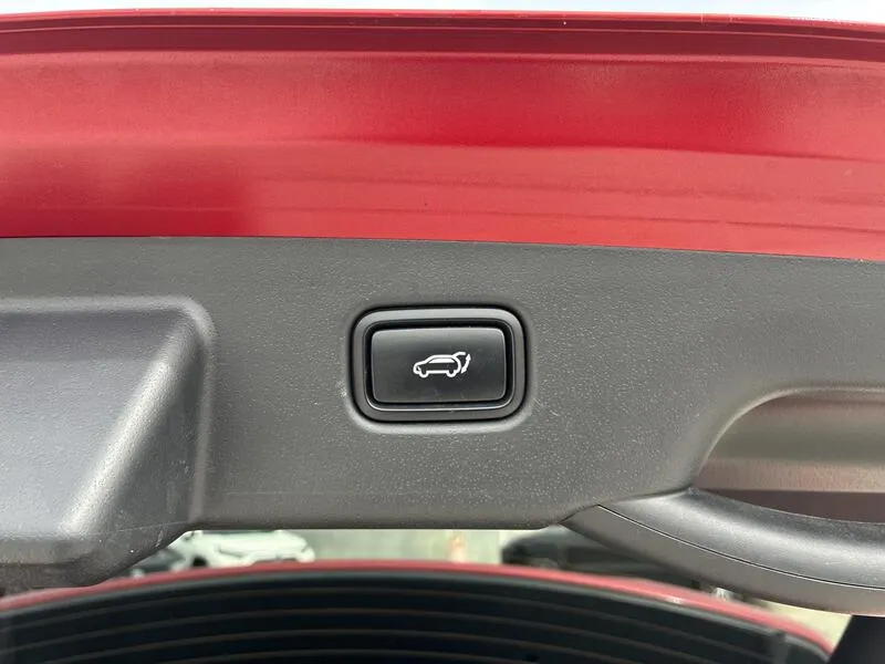 Kia Niro 1.6 GDi PHEV Emotion - foto 19