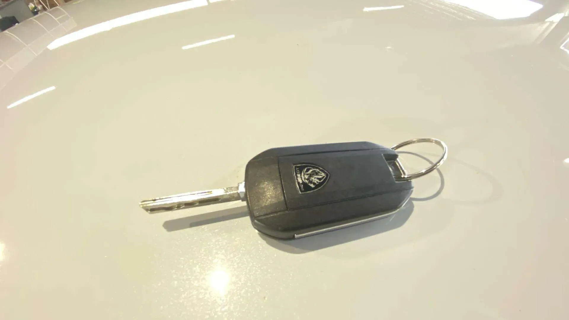 Peugeot 2008 Active Pack PureTech 100 - foto 21