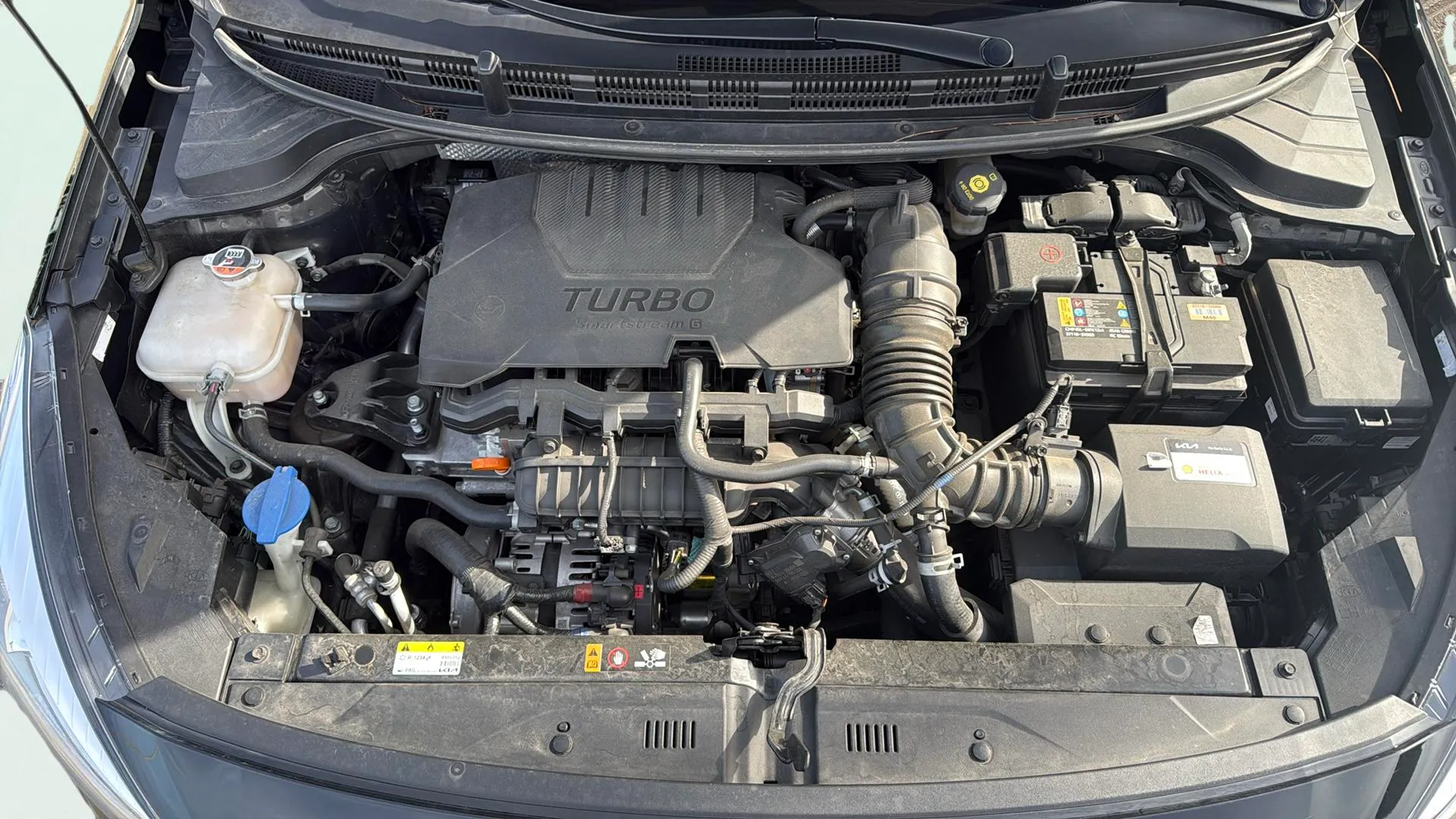 Kia Rio 1.0 T-GDi MHEV iMT Concept - foto 16