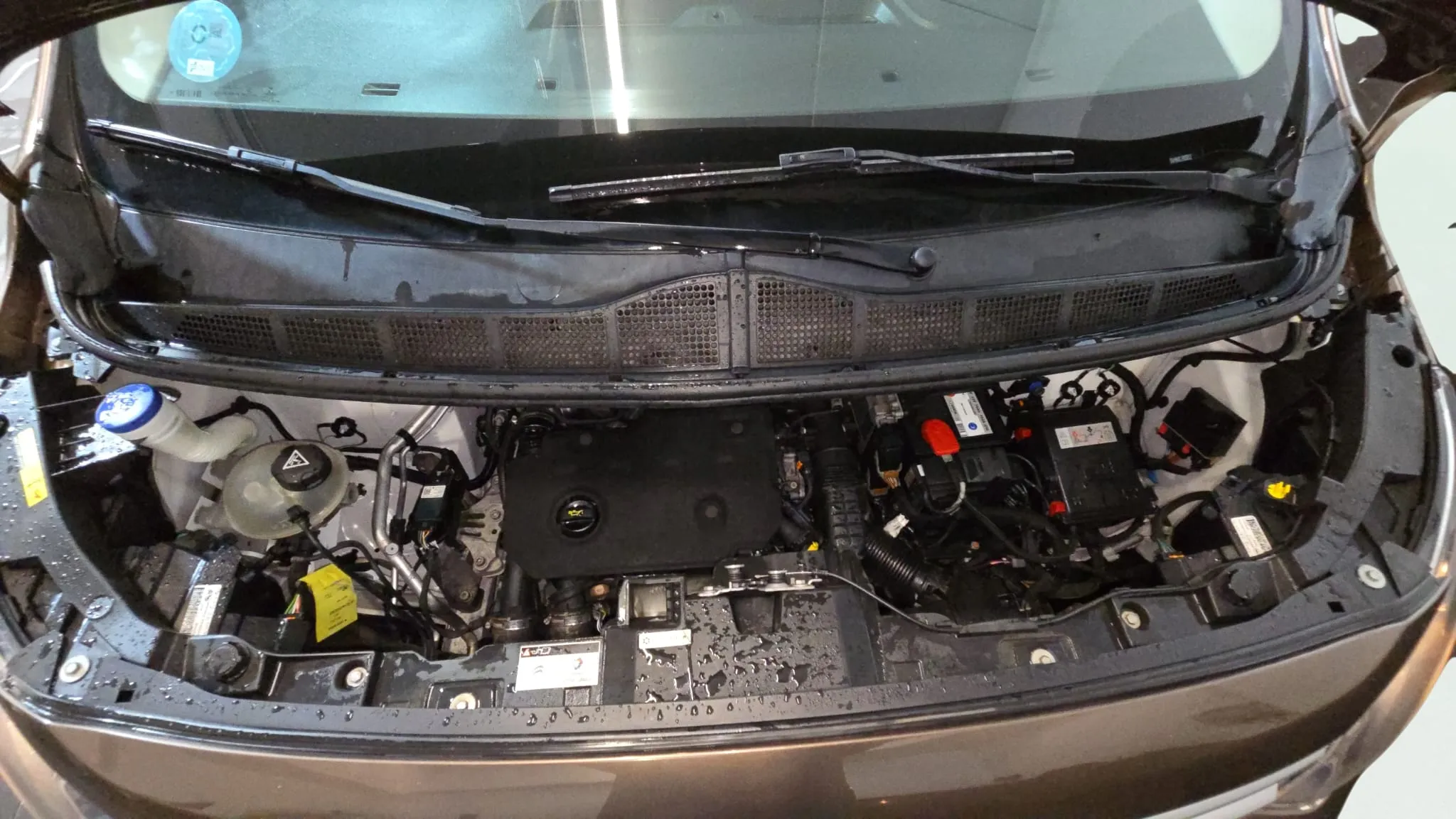 Citroën Jumpy Talla M BlueHDi Confort - foto 19