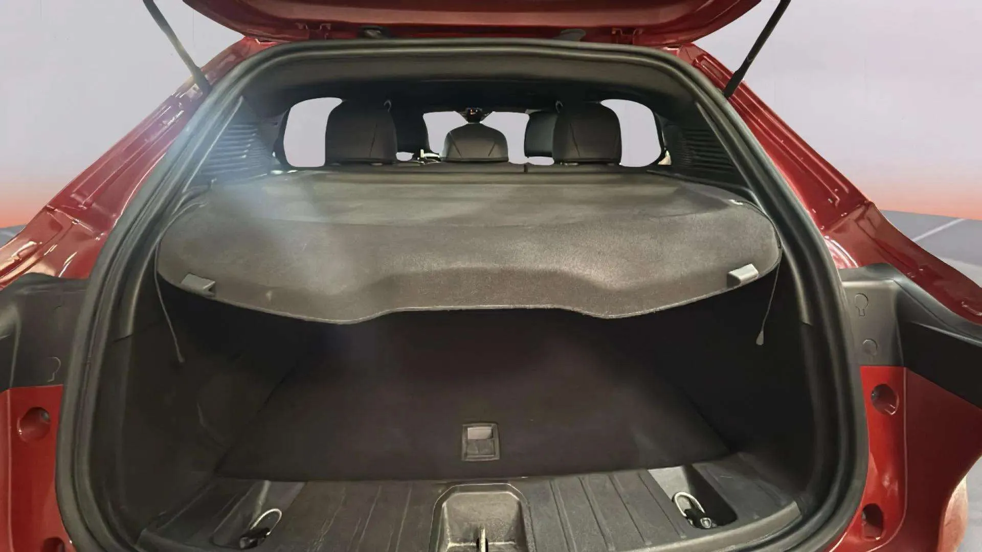 Alfa Romeo Tonale 1 - foto 19