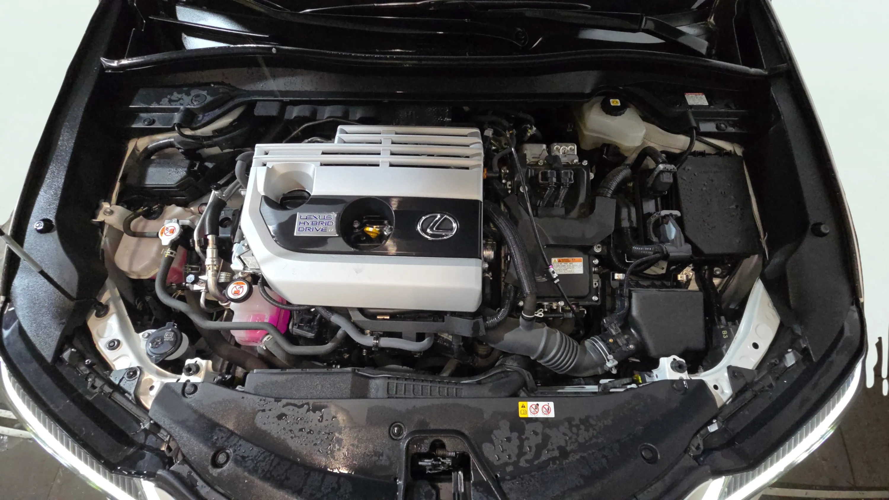 Lexus UX 2.0 250h Business - foto 25