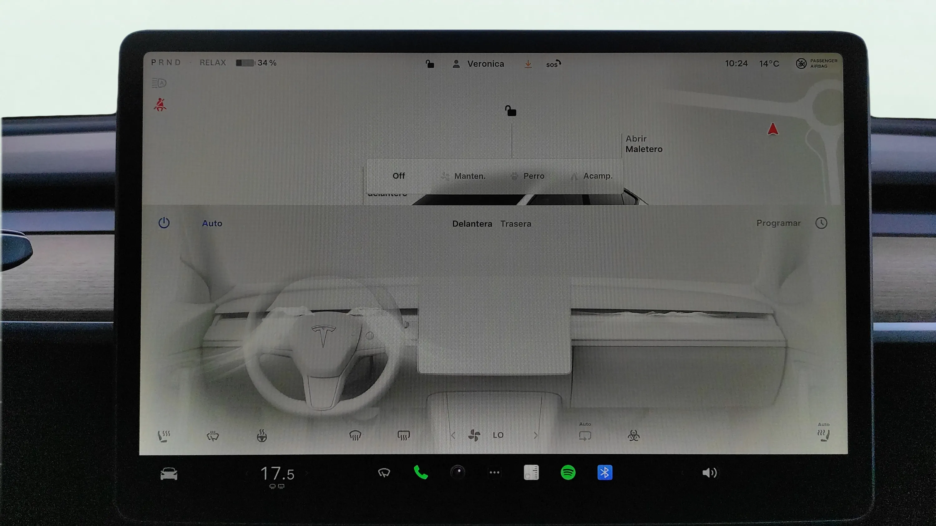 Tesla Model Y Gran Autonomía 4WD - foto 22