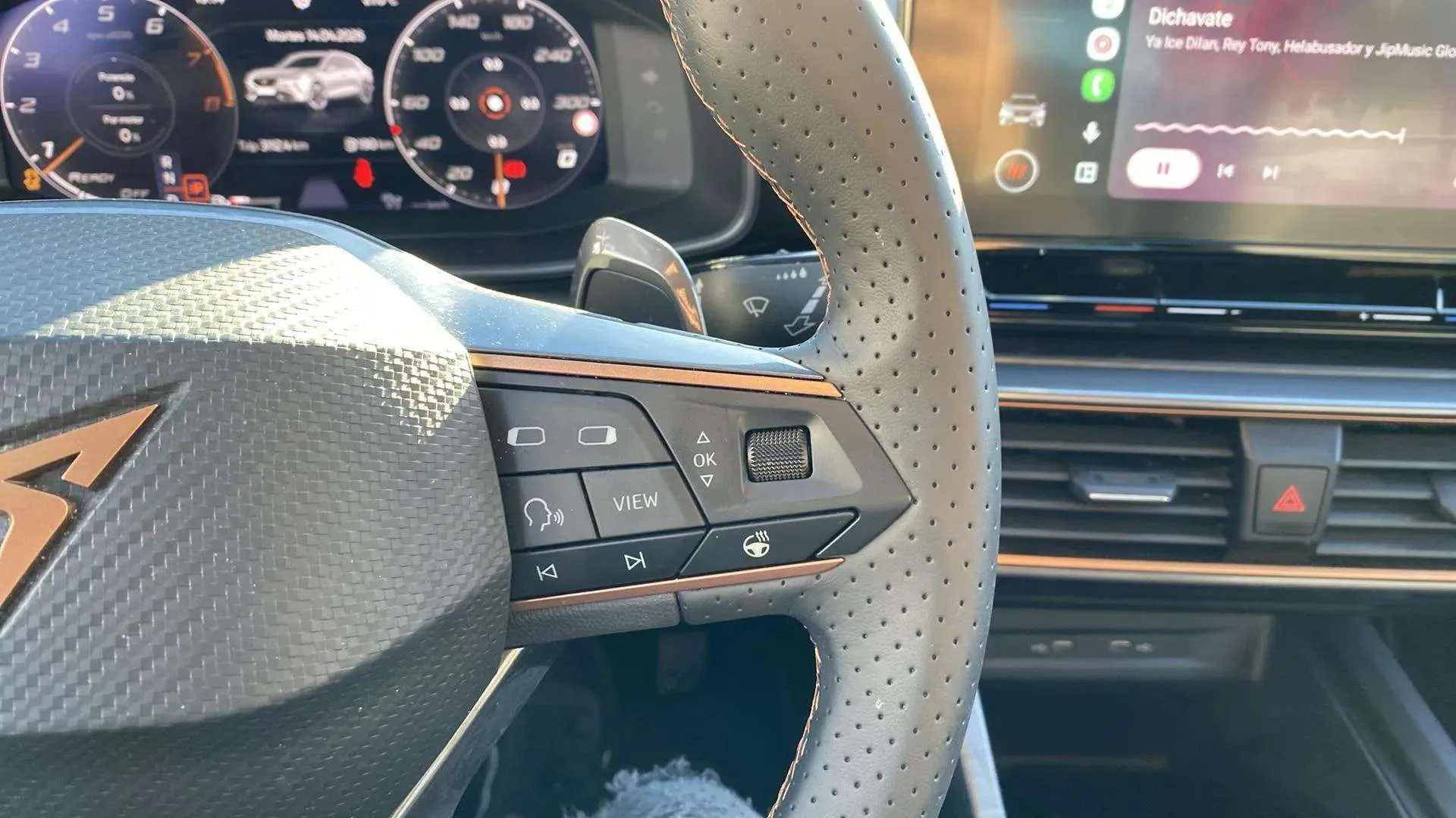 Cupra Formentor 1.5 TSI DSG - foto 15