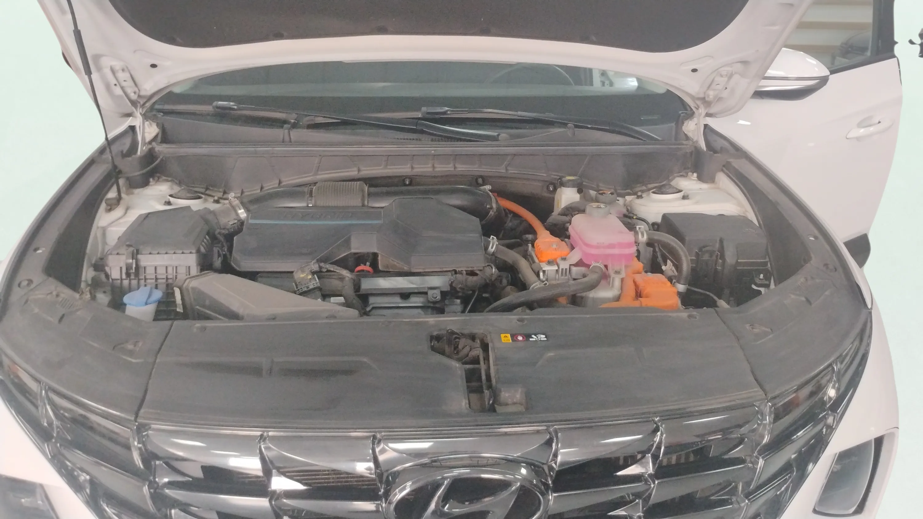 Hyundai Tucson 1.6 CRDi 48V Maxx DCT - foto 15