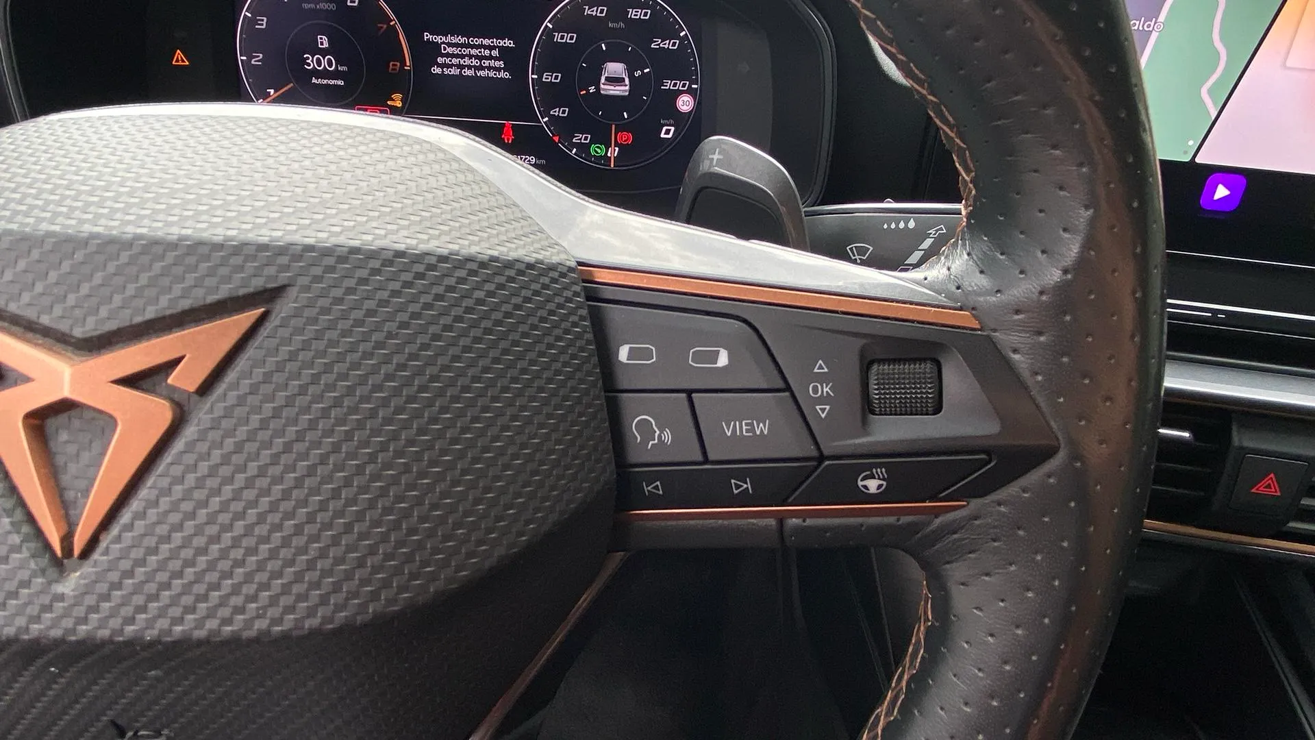 Cupra Formentor 1.5 TSI DSG - foto 18