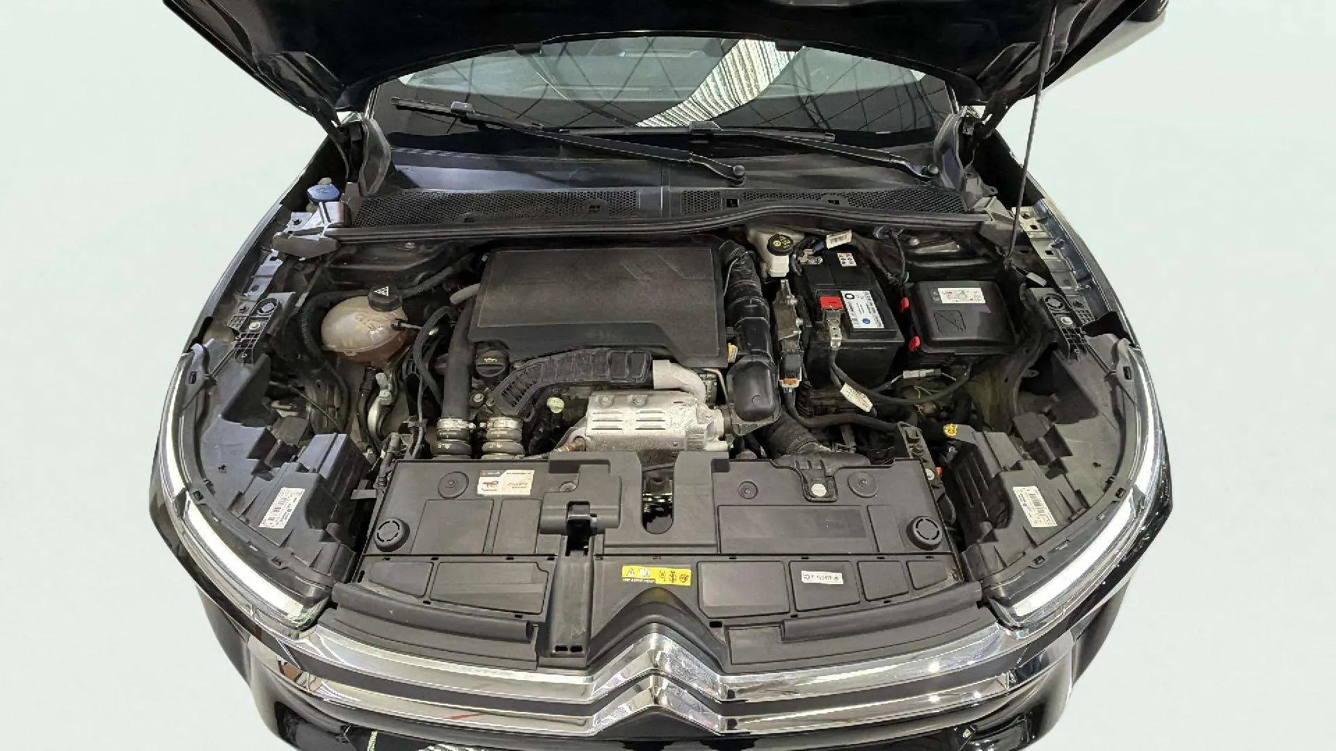Citroën C4 PureTech 130 EAT8 Plus - foto 19