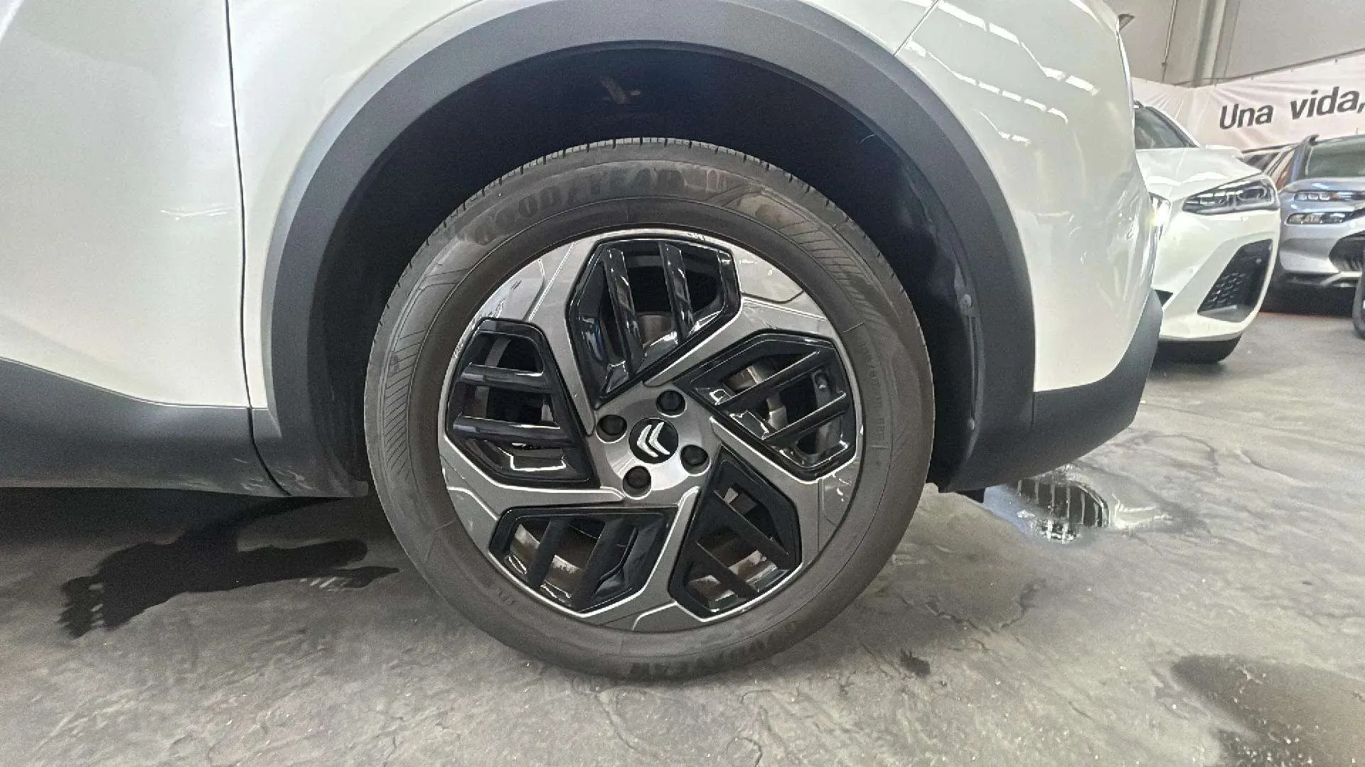 Citroën C4 PureTech 130 EAT8 Plus - foto 10