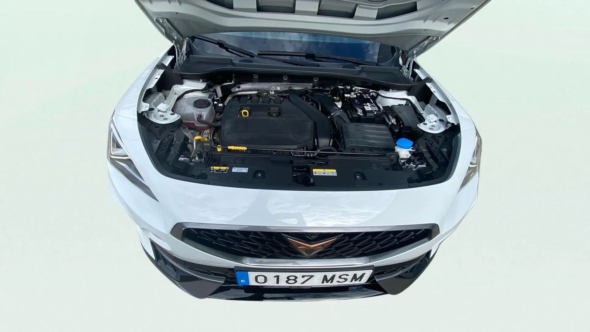 Cupra Formentor 1.5 TSI DSG - foto 10