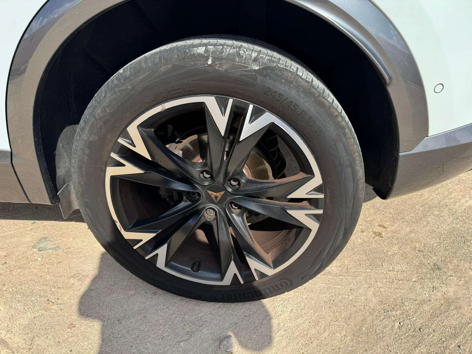Cupra Formentor 1.5 TSI DSG - foto 25