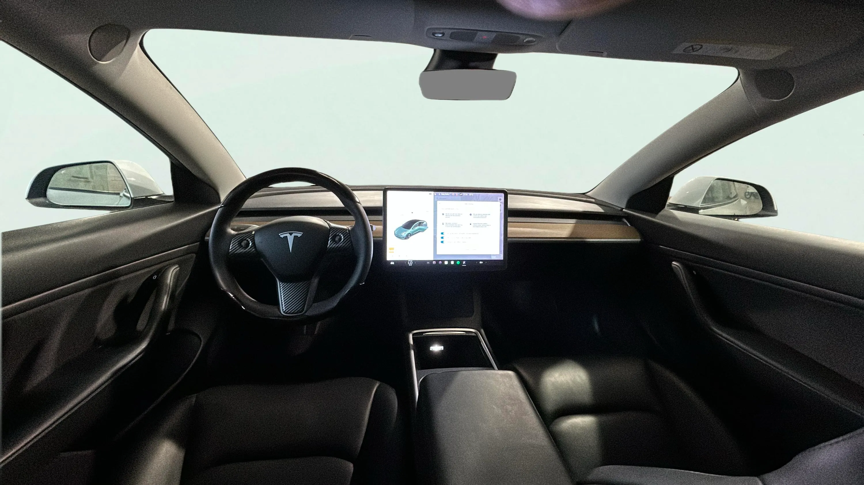 Tesla Model 3 Gran Autonomía 4WD - foto 9