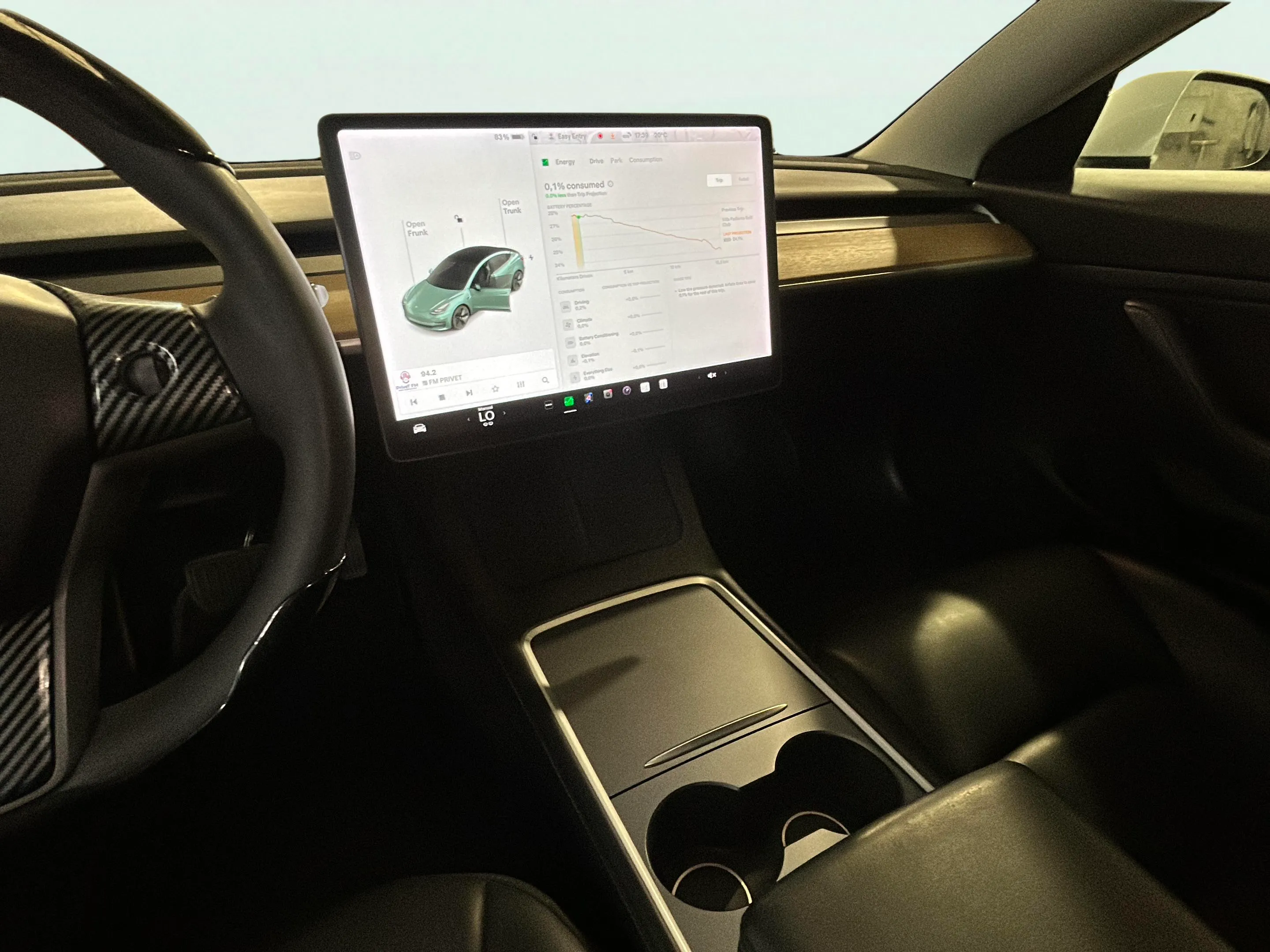 Tesla Model 3 Gran Autonomía 4WD - foto 23