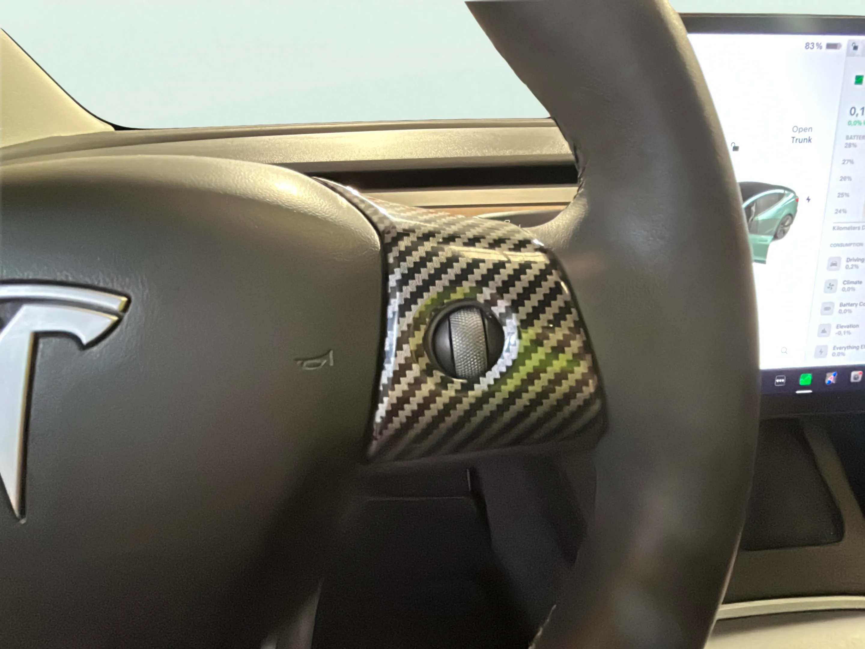 Tesla Model 3 Gran Autonomía 4WD - foto 25