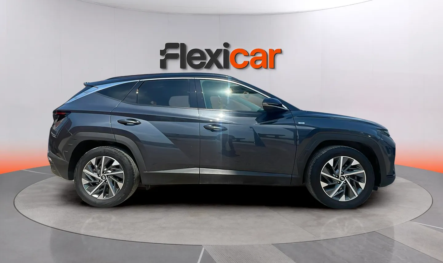 Slide 8