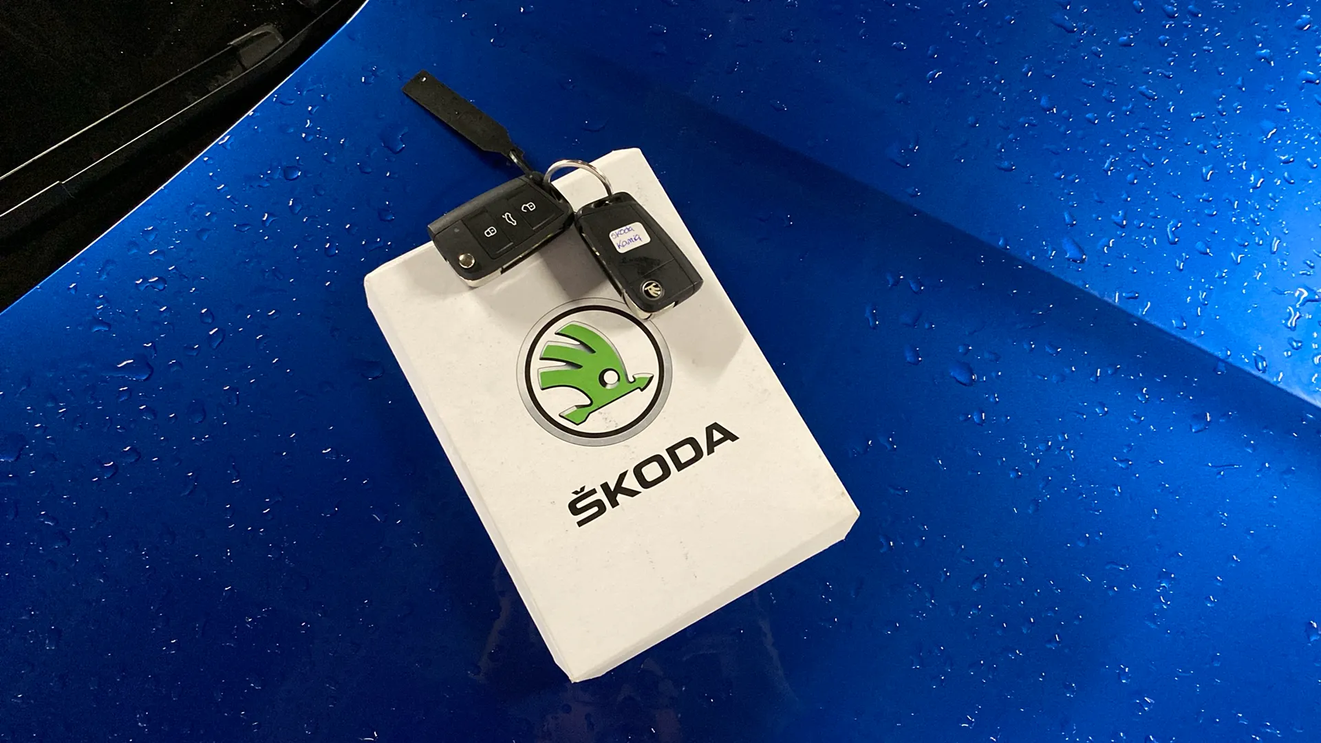 Škoda Kamiq 1.5 TSI DSG Scout - foto 28