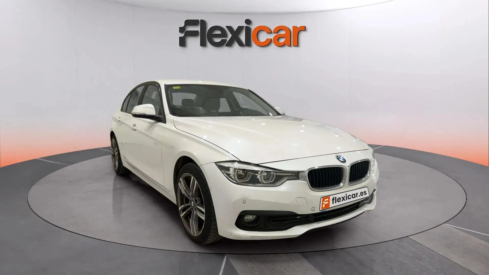 BMW Serie 3 318d