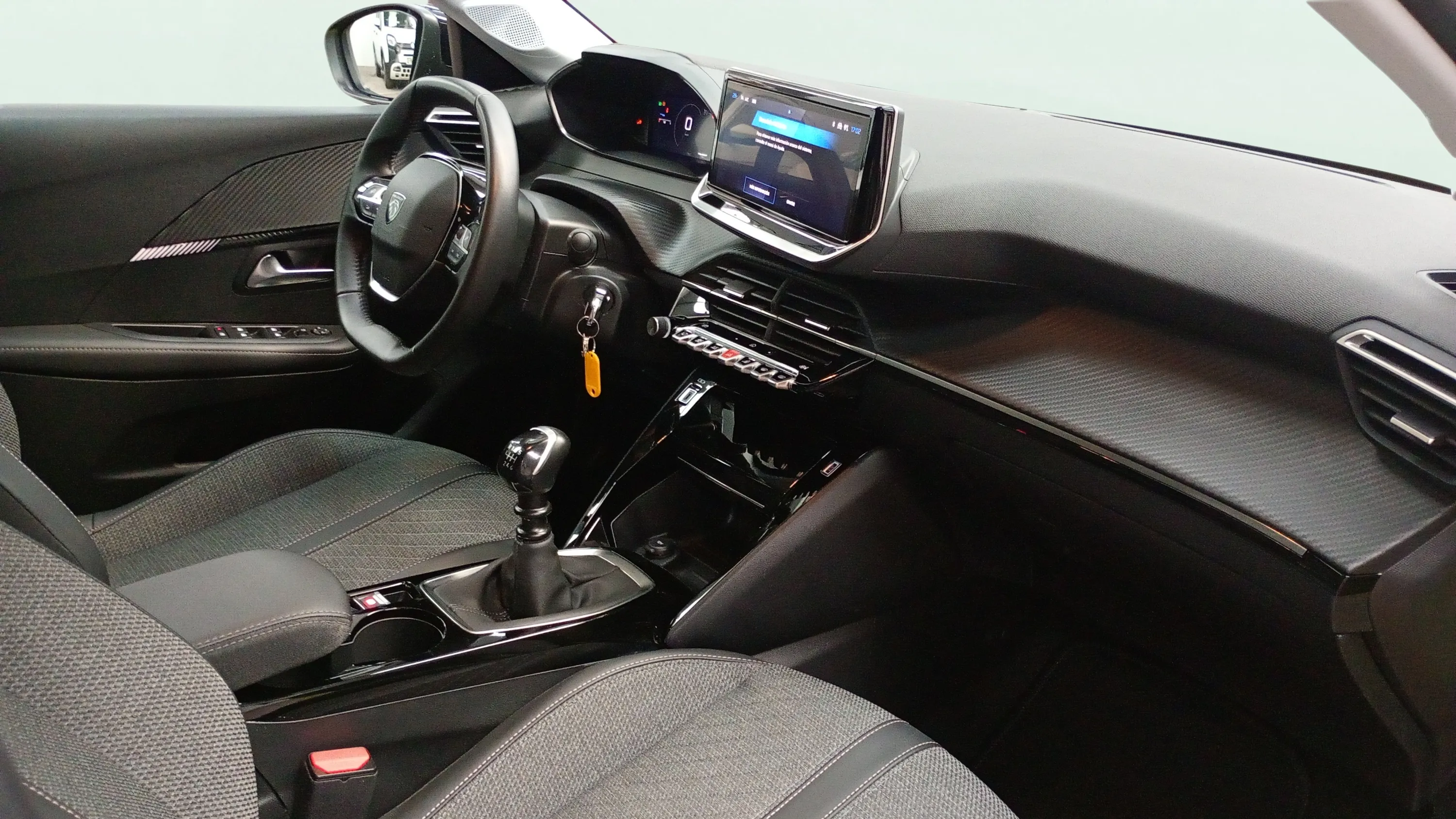 Peugeot 208 Allure Gasolina 100 - foto 13