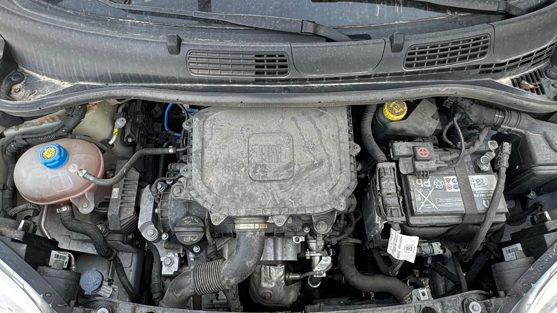 Fiat Panda Cross 1.0 Hybrid - foto 15