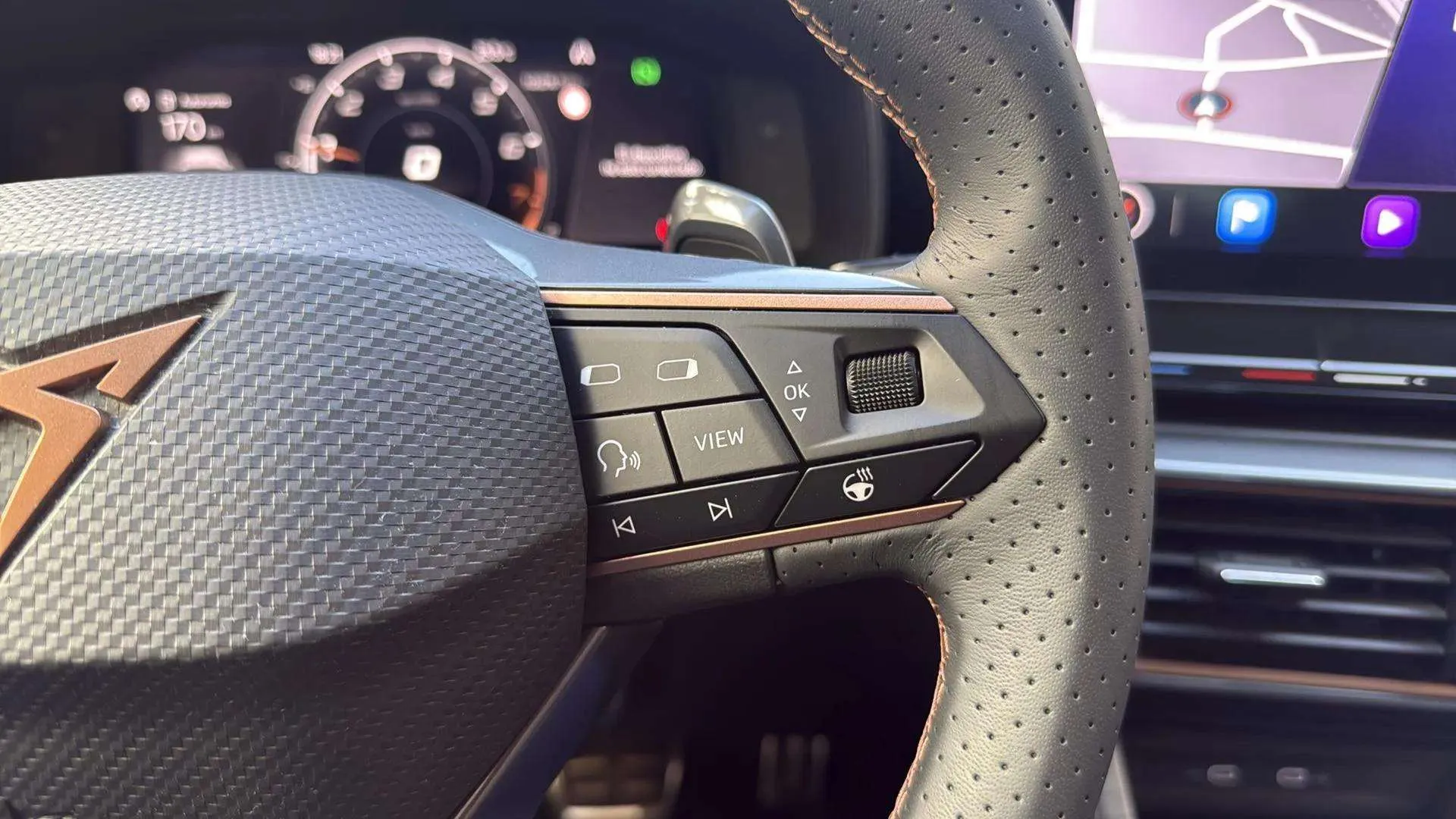 Cupra Formentor 1.5 TSI DSG - foto 16