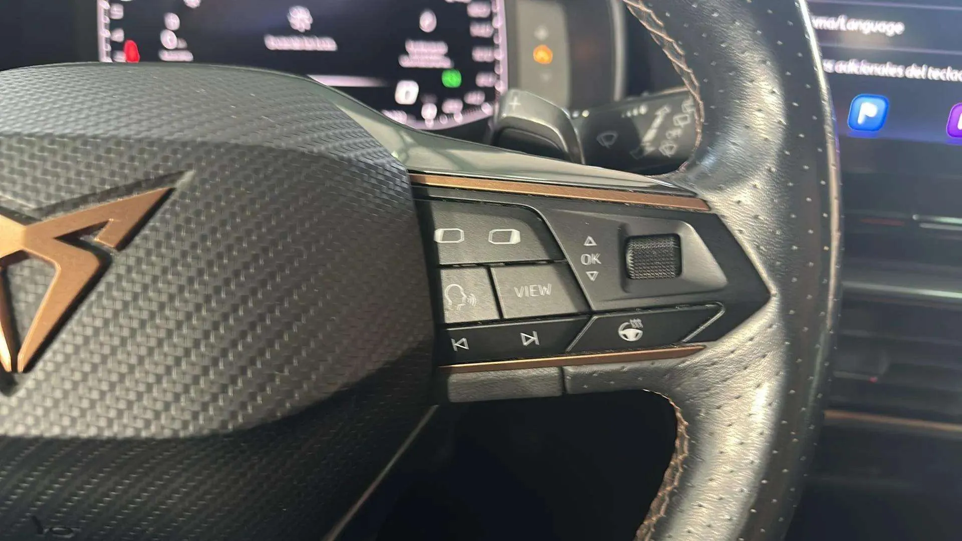 Cupra Formentor 1.5 TSI DSG - foto 14