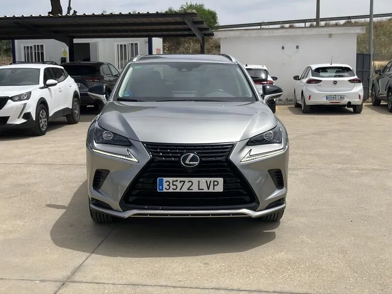 Lexus NX 2.5 300h Premium 2WD - foto 9