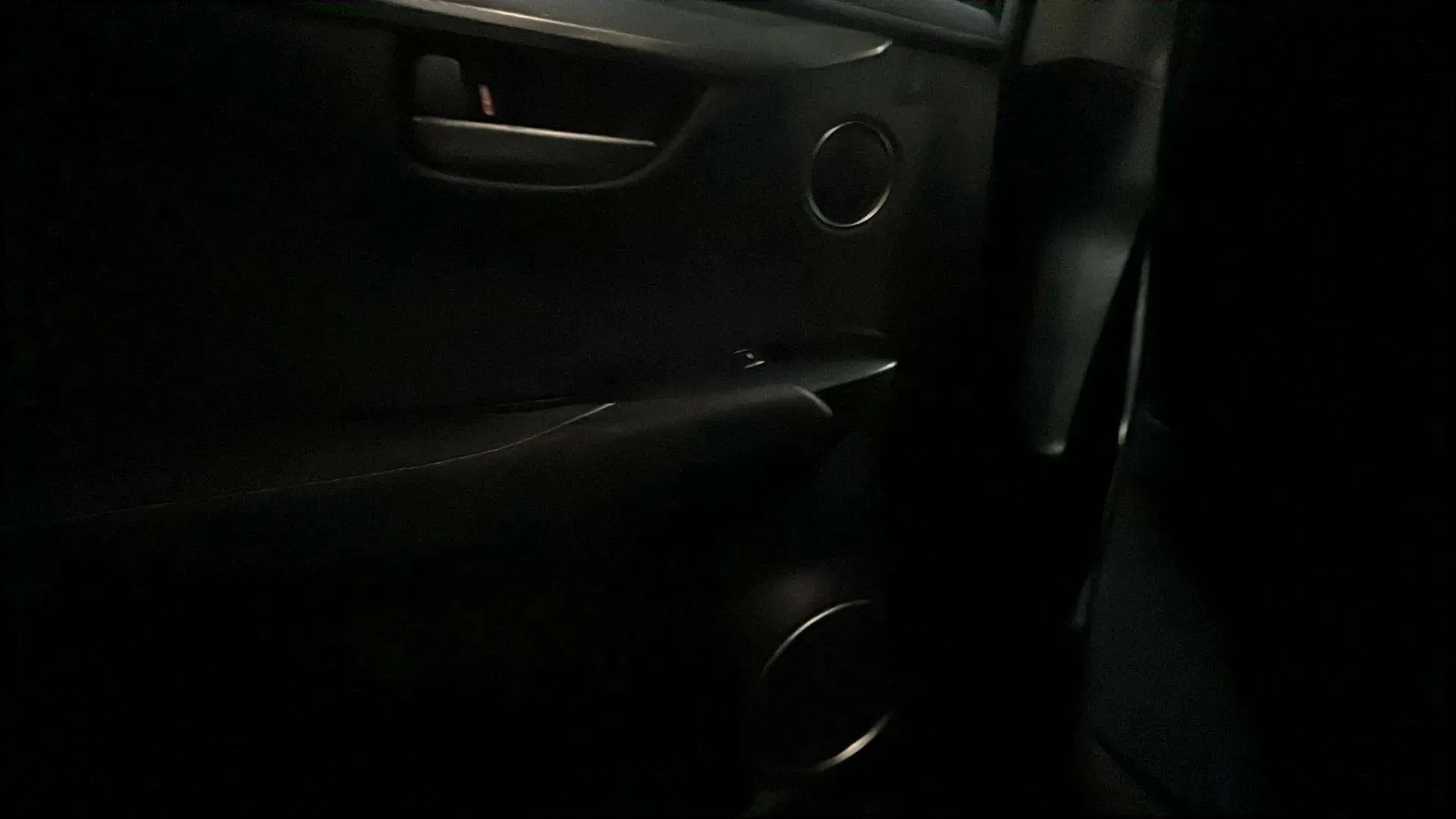 Lexus NX 2.5 300h Premium 2WD - foto 30