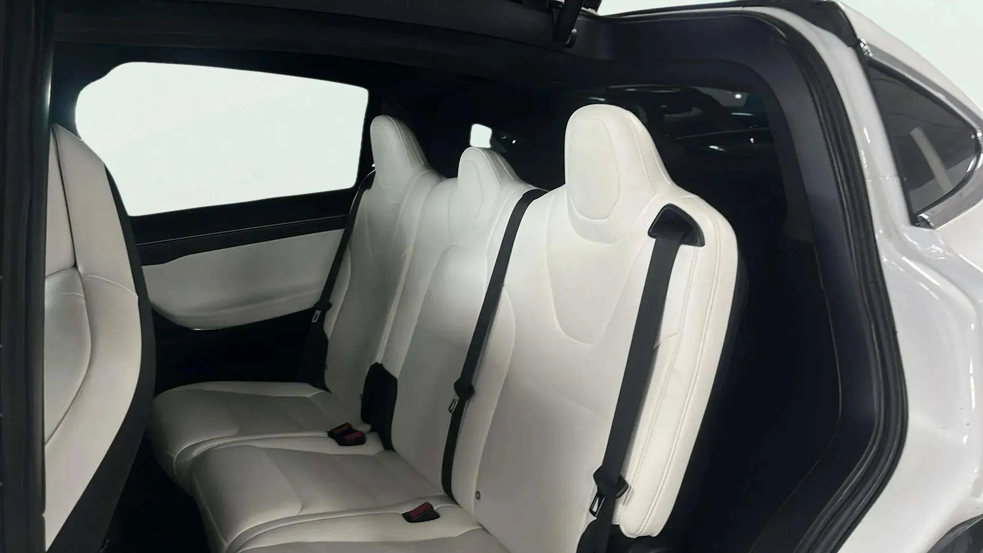 Tesla Model X 100d 4WD - foto 23